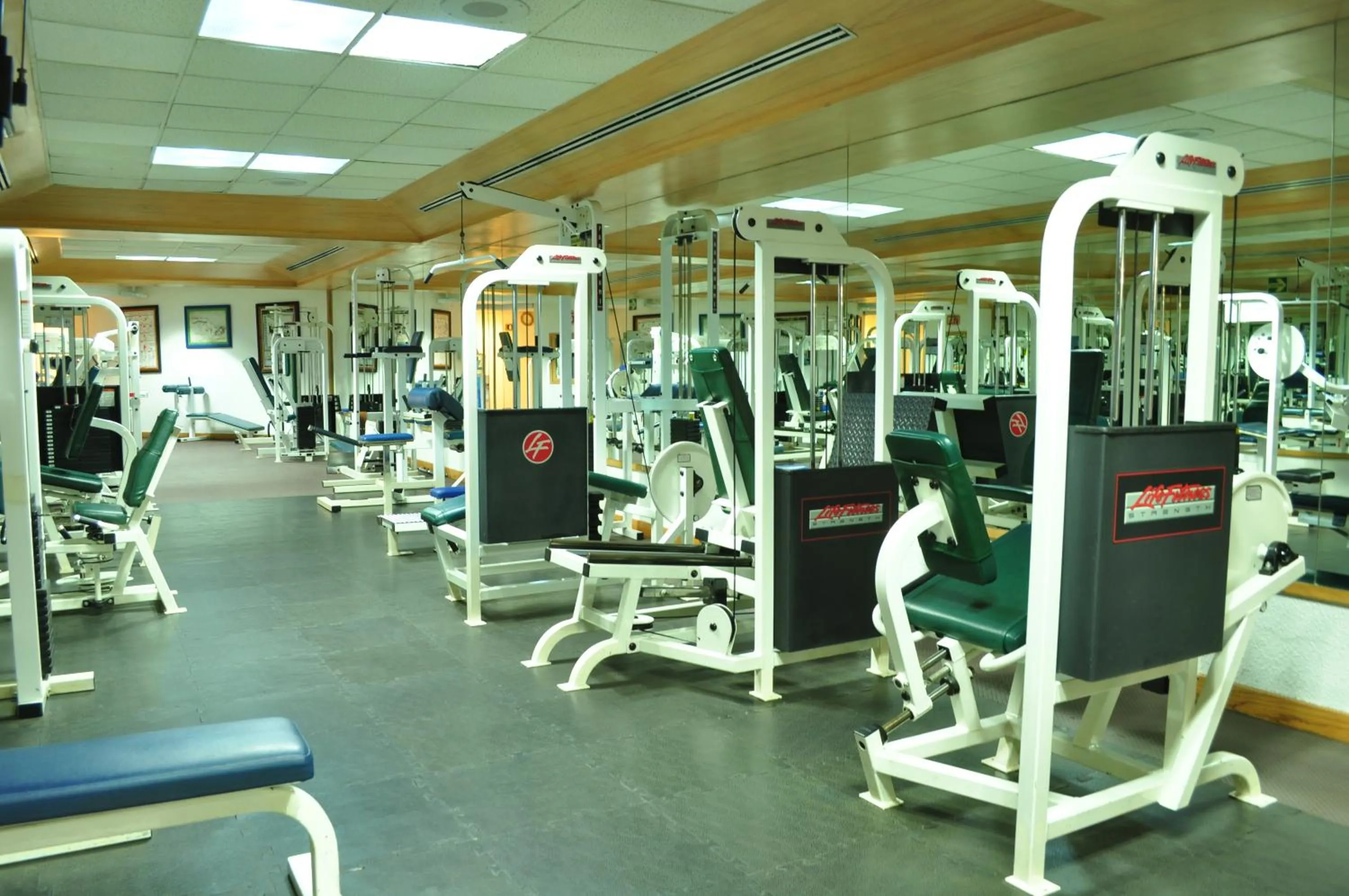Fitness centre/facilities in Royal Pedregal