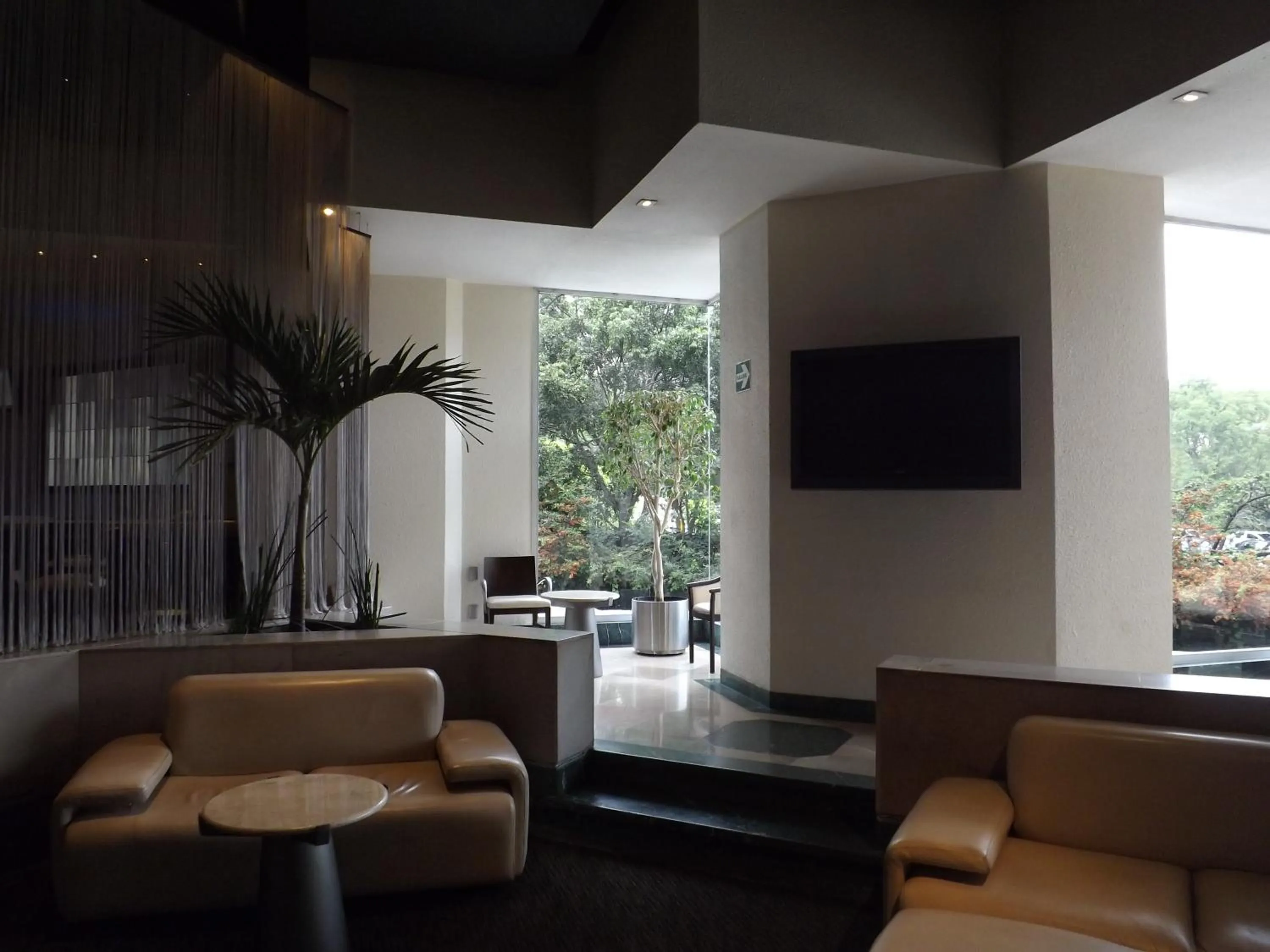 Lounge or bar in Royal Pedregal