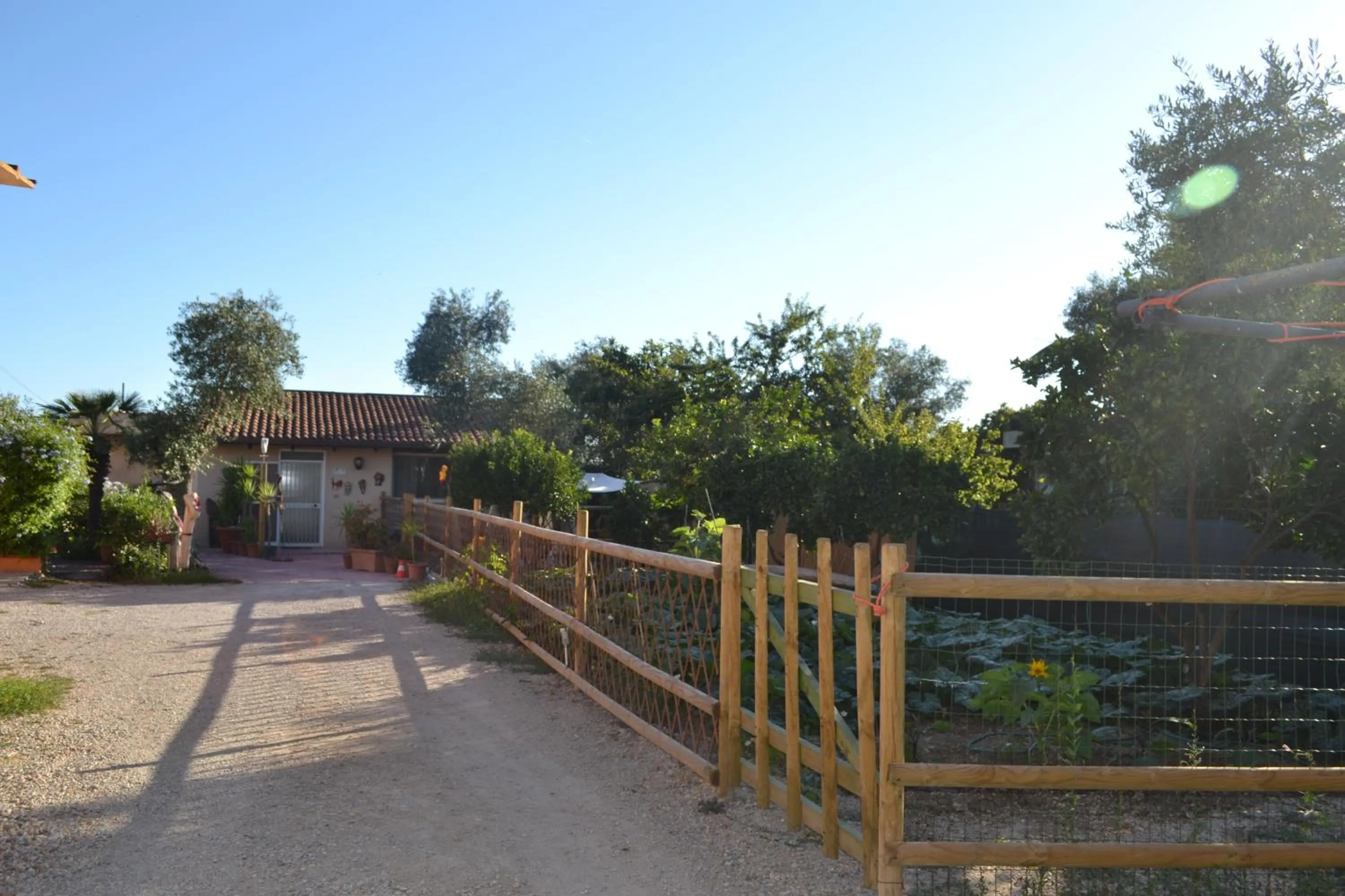 Garden in B&B l'Antropologo