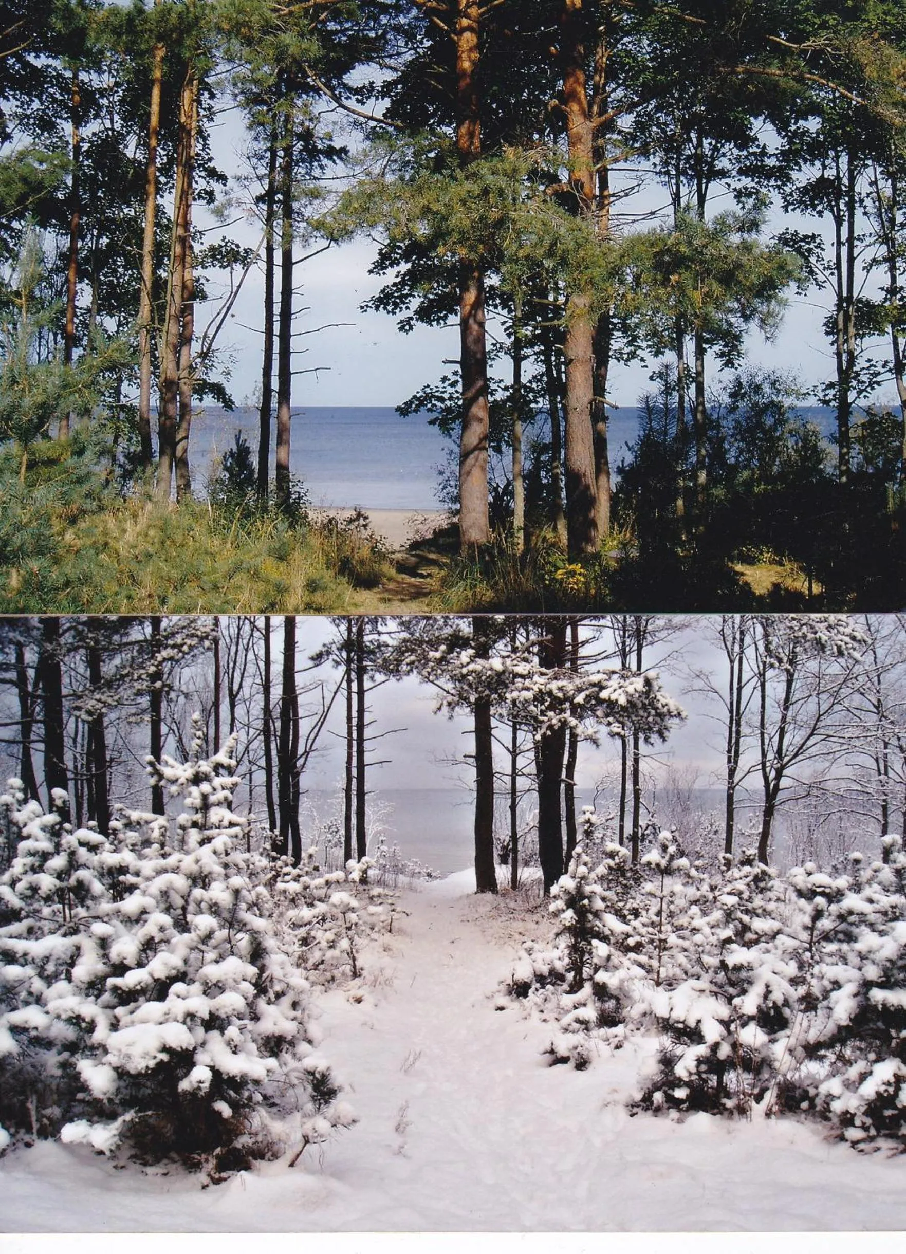 Natural landscape in Privātviesnīca Zvaigzne