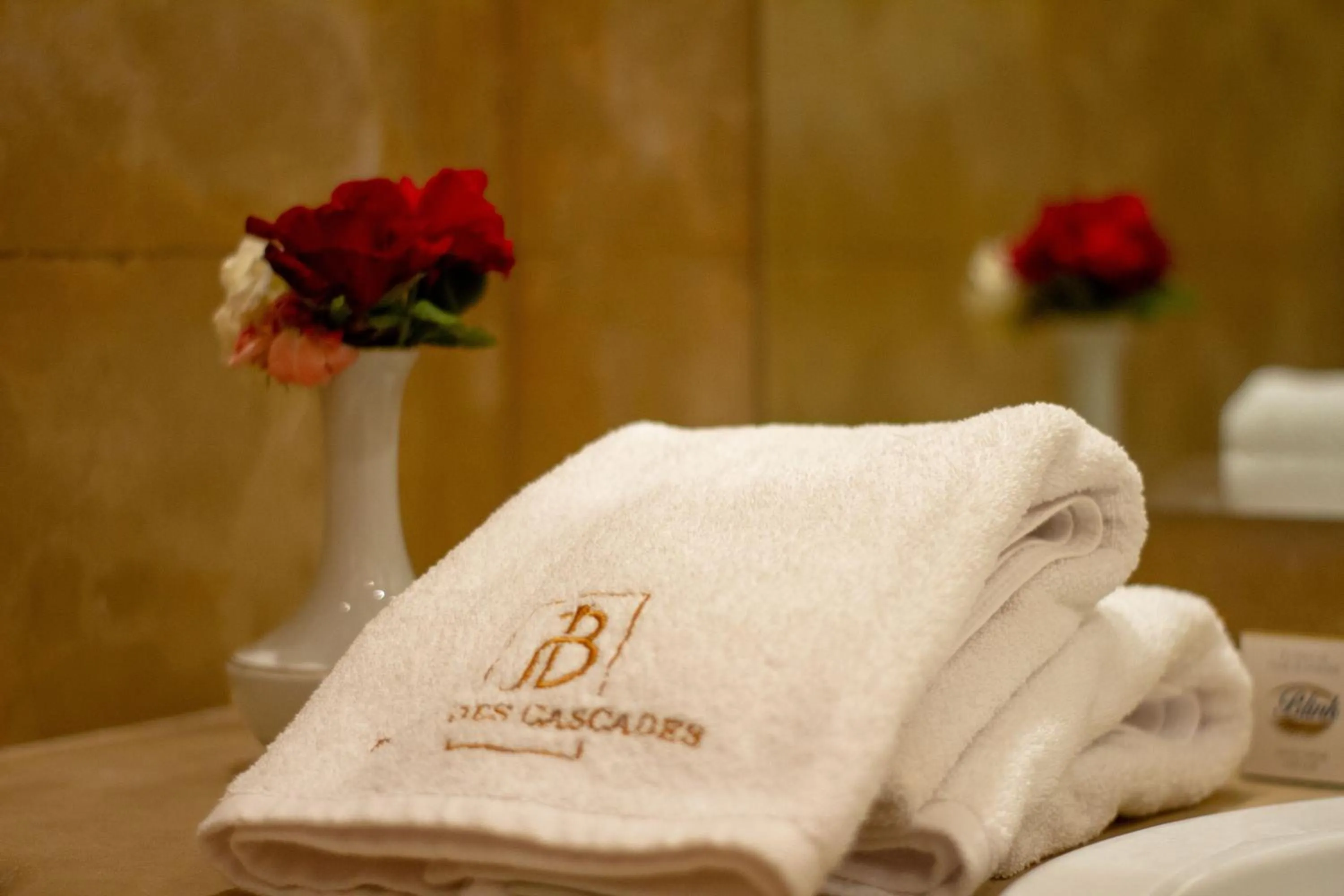 Property logo or sign in Borj Des Cascades & Spa