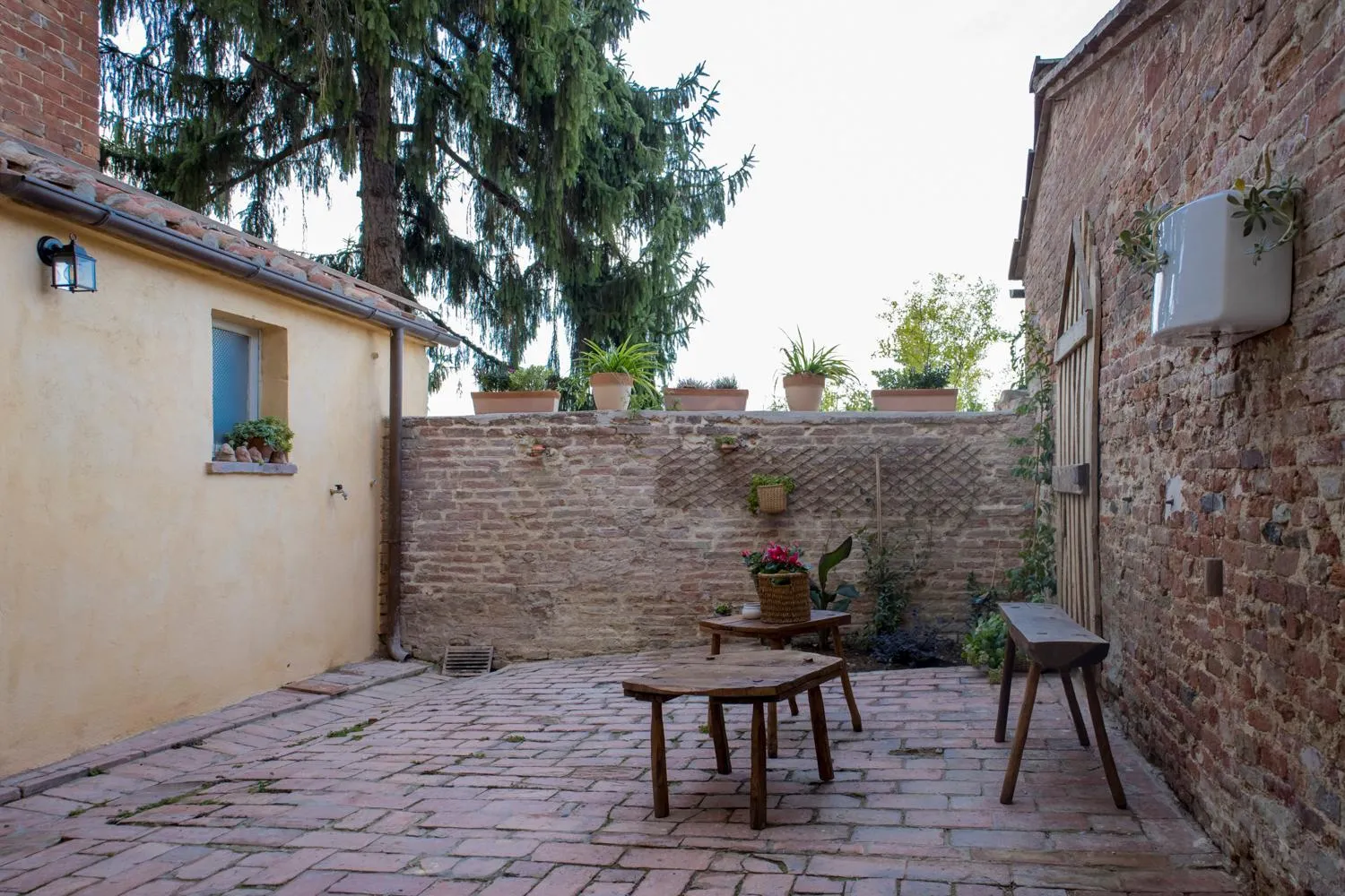 Patio in In Collegiata