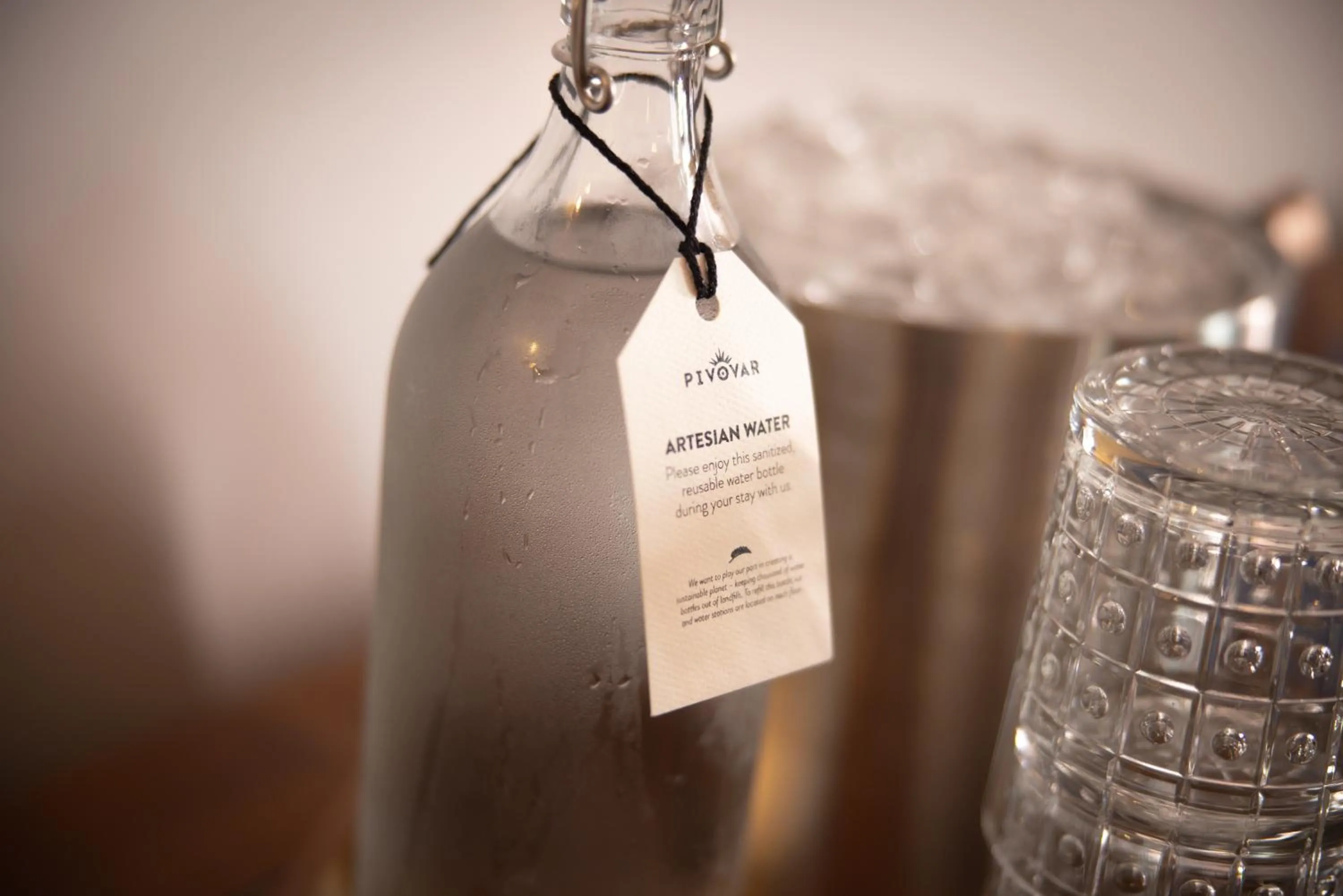 Drinks in Pivovar Hotel