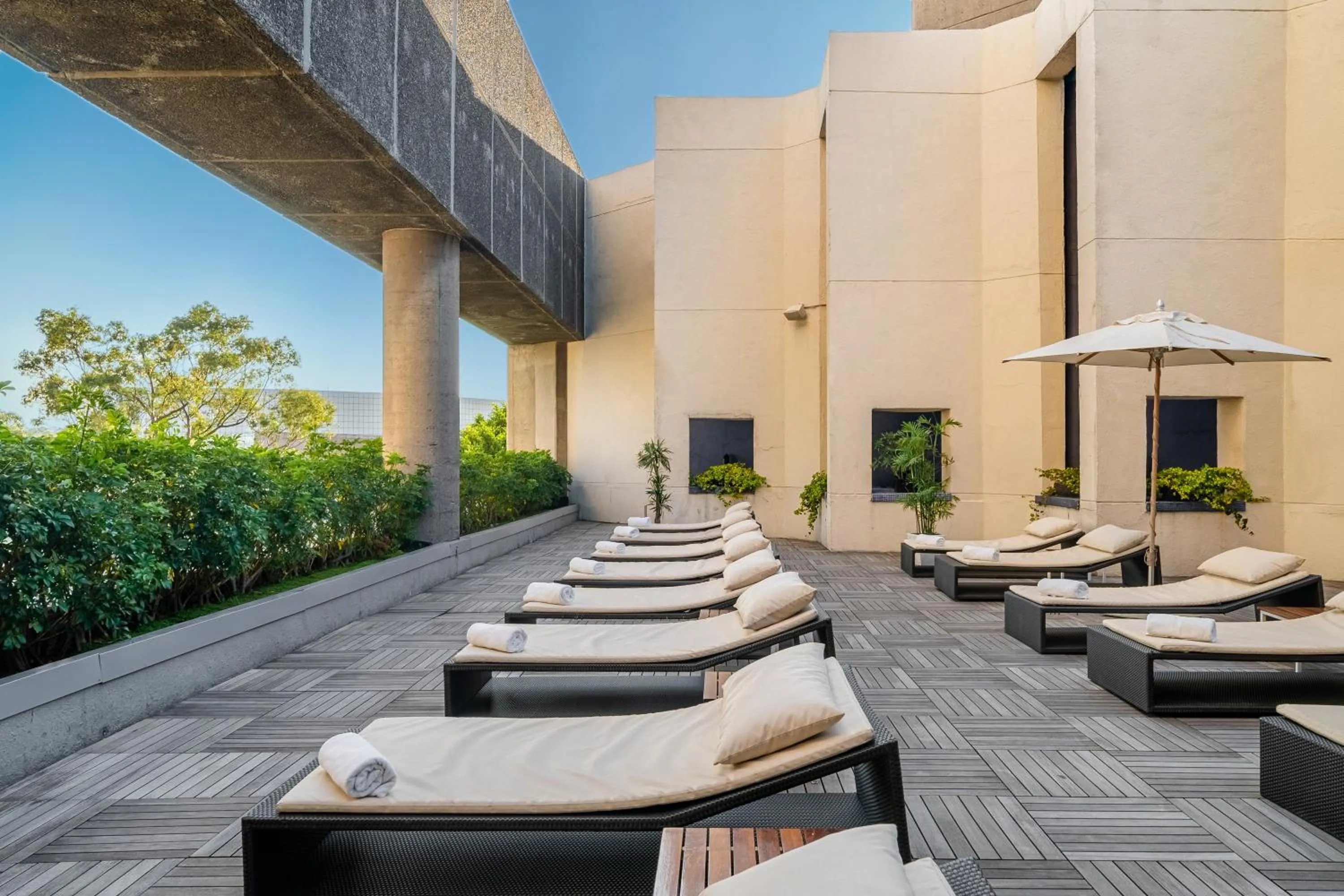 sunbed in Hyatt Regency Mexico City