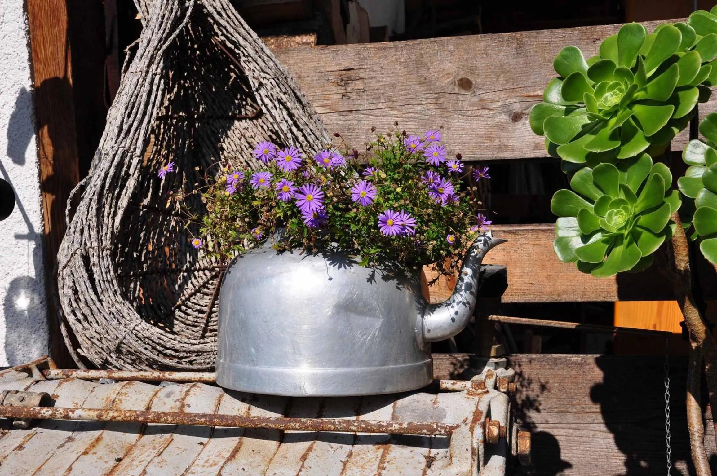 Garden in Landhotel Zur Pferdetränke
