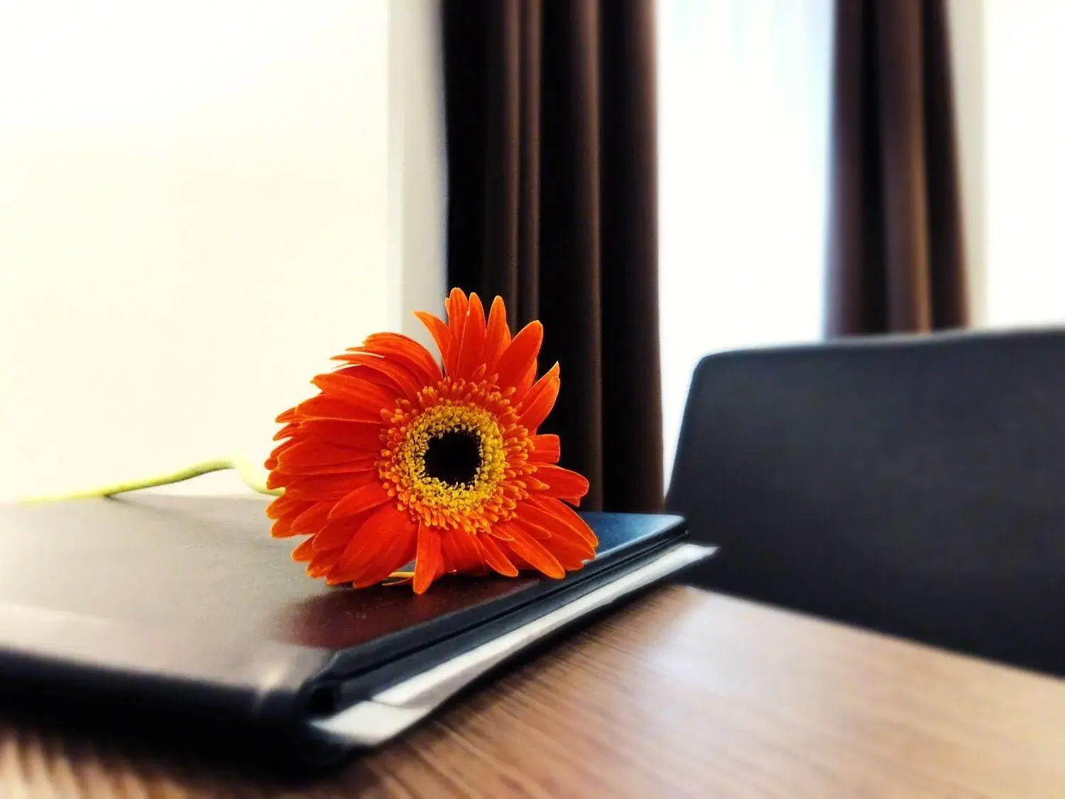 Triple Room in House Garden Triple Room in House Garden