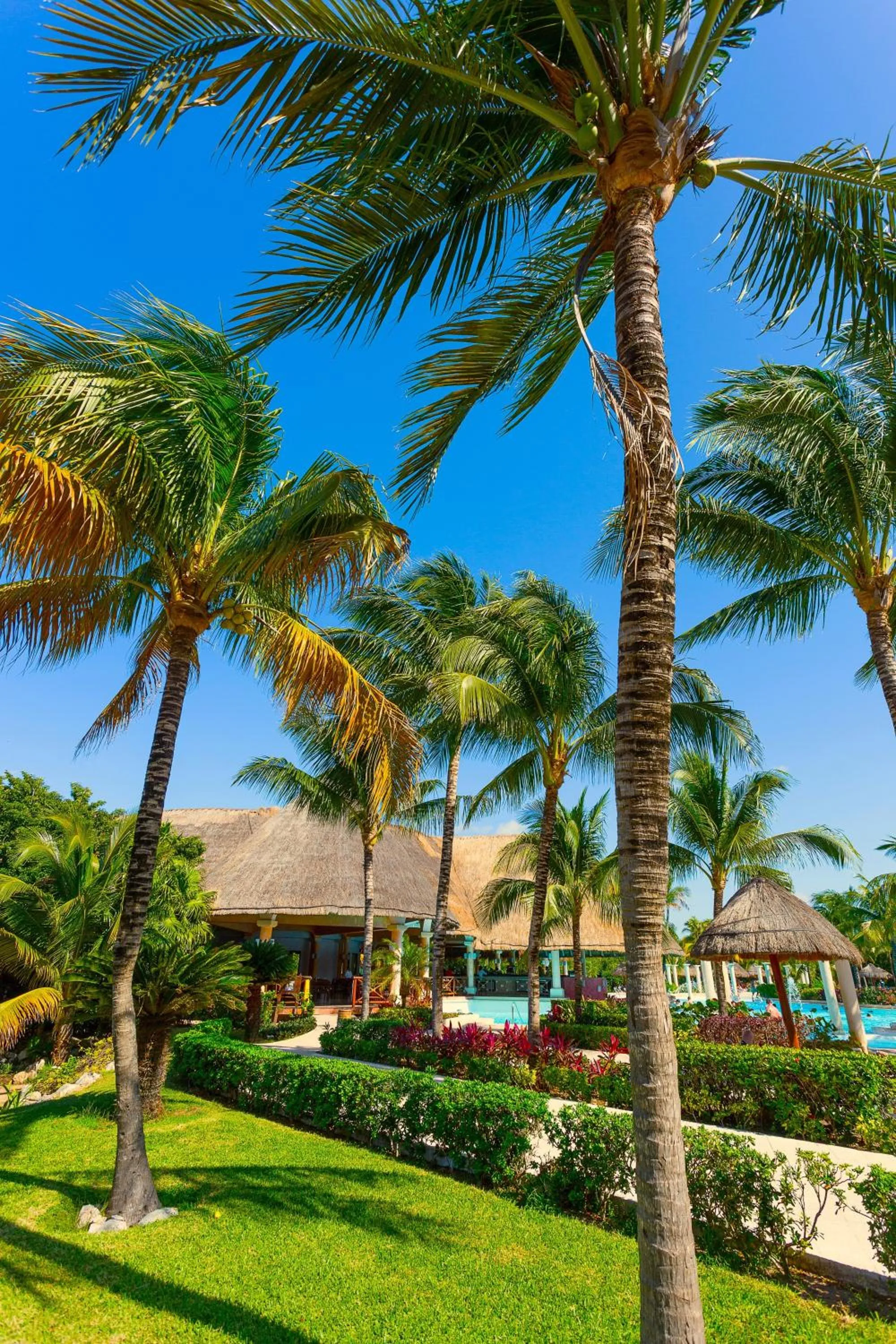 Garden in TRS Yucatan Hotel - Adults Only