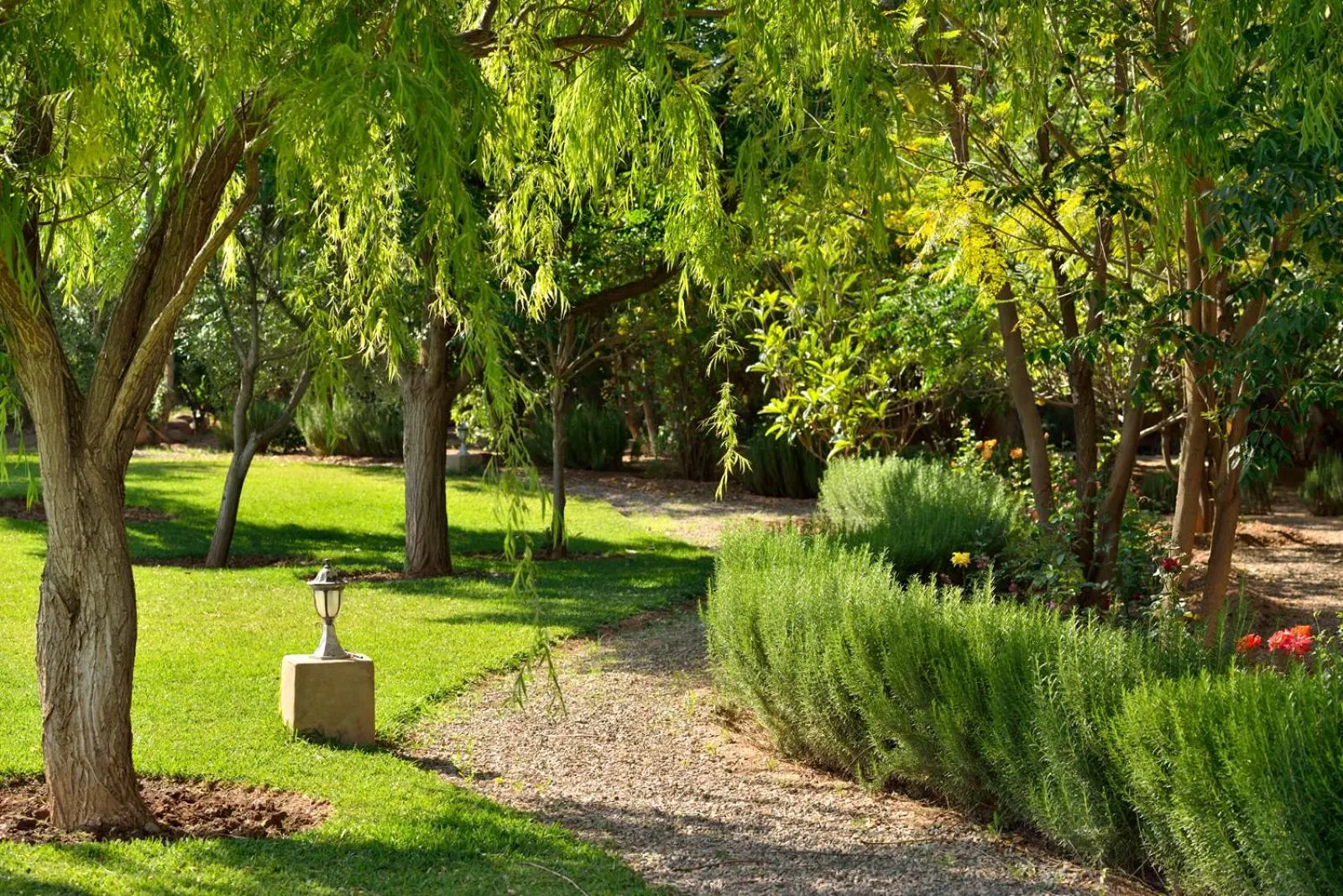 Natural landscape in Villa Dinari