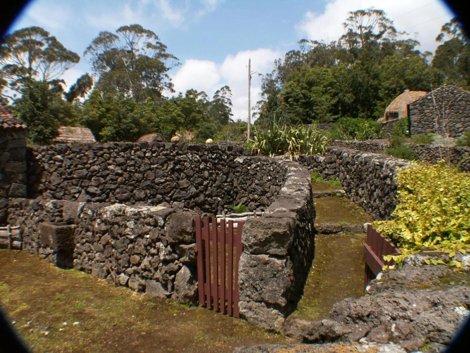 Patio in Quinta Do Martelo