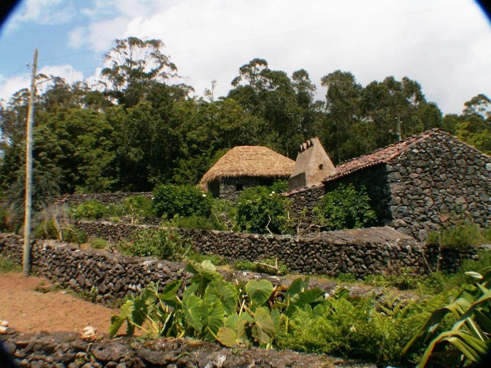 Garden view in Quinta Do Martelo