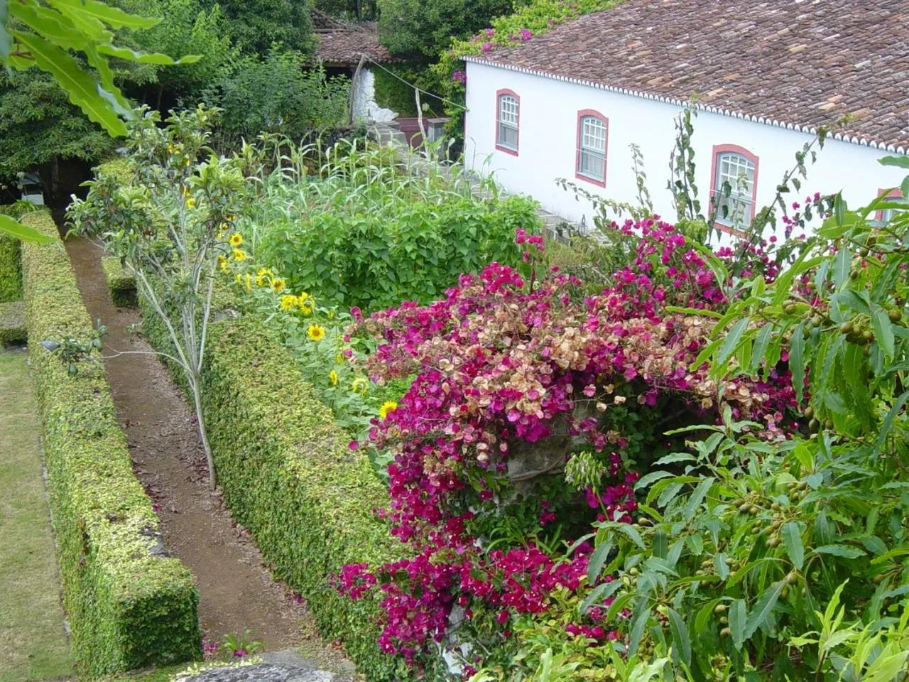 Natural landscape in Quinta Do Martelo