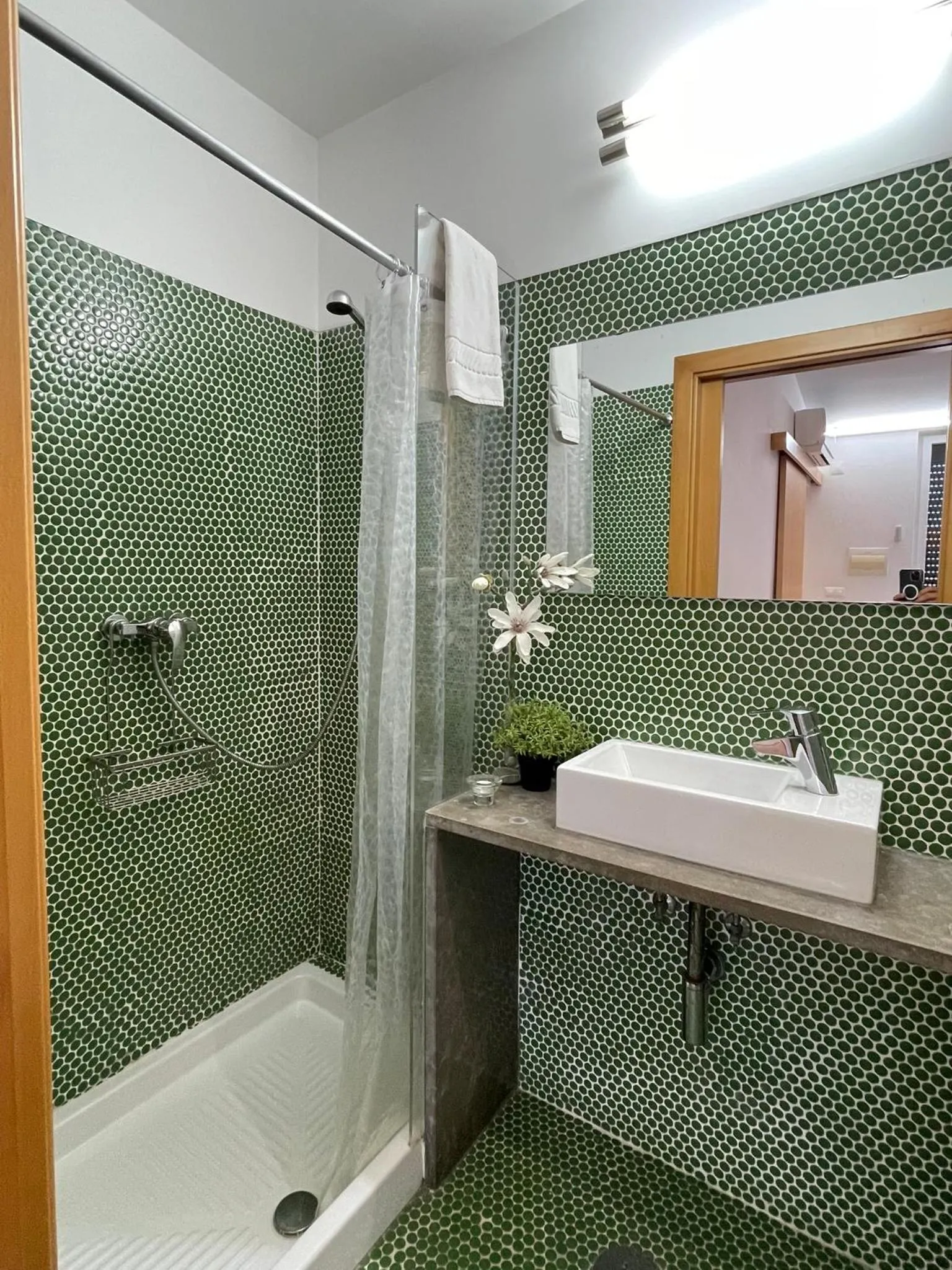 Born To Stay In Milfontes