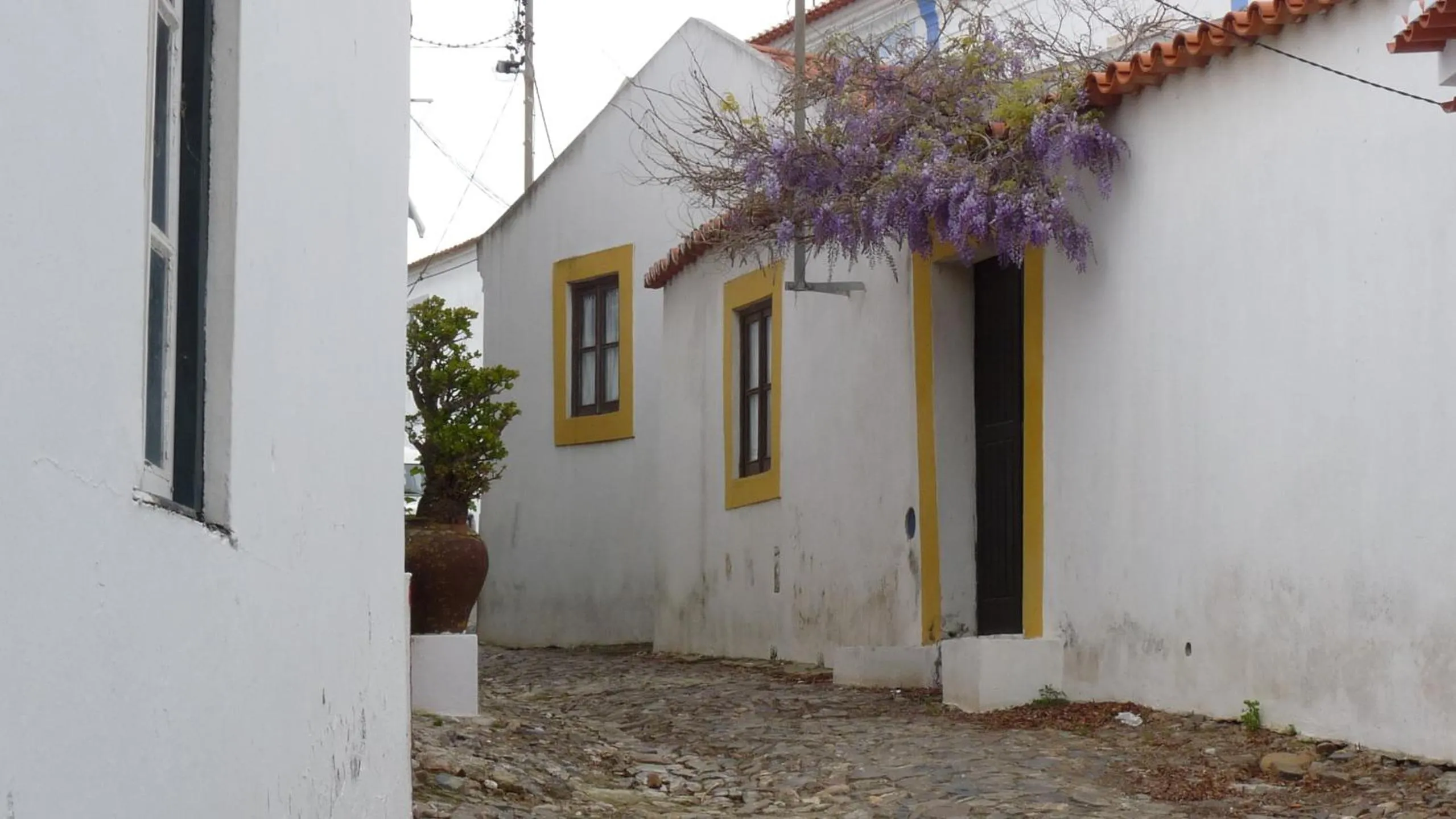 Area and facilities in Born To Stay In Milfontes