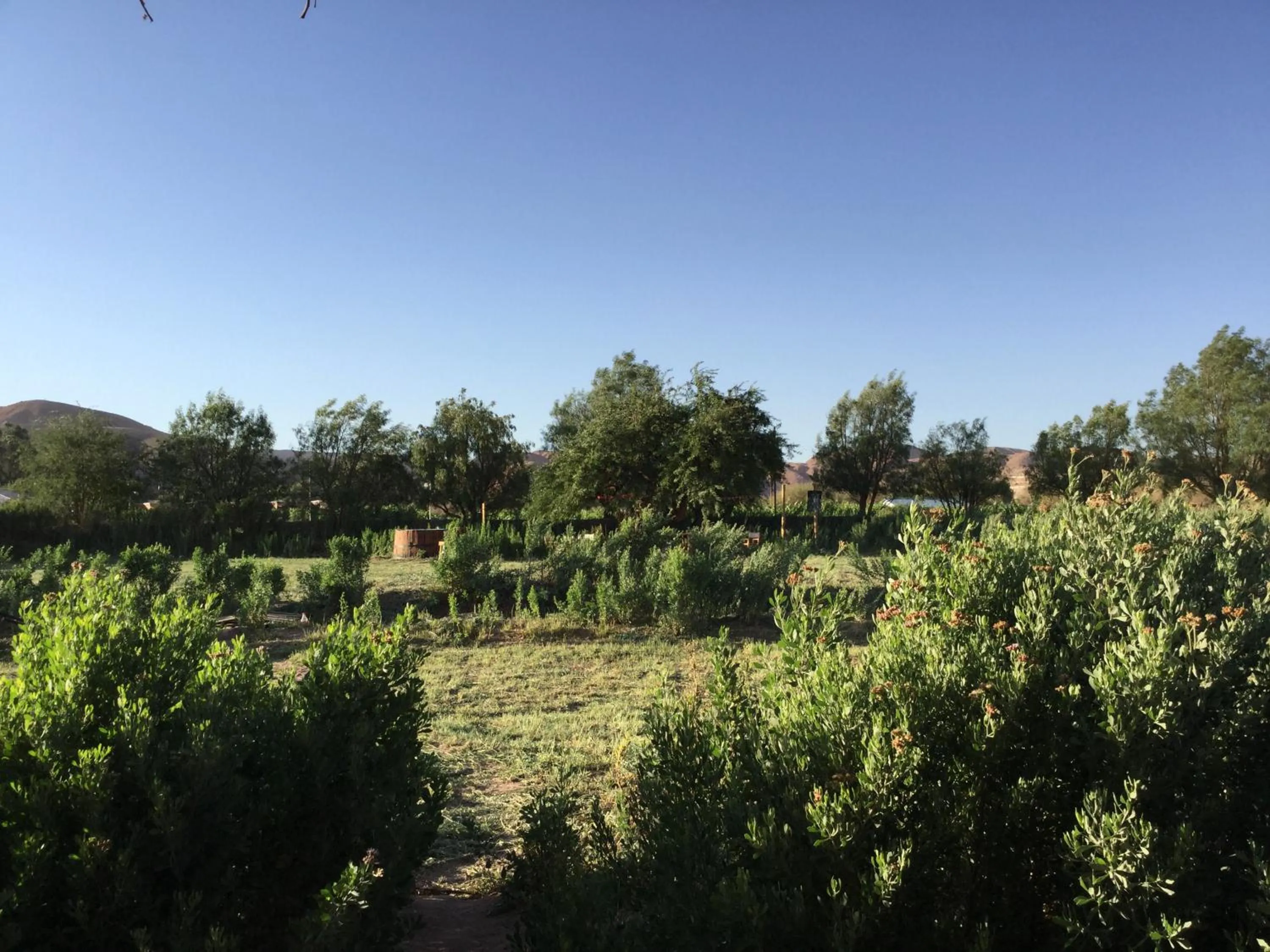 Day in Eco-Lodge El Andinista