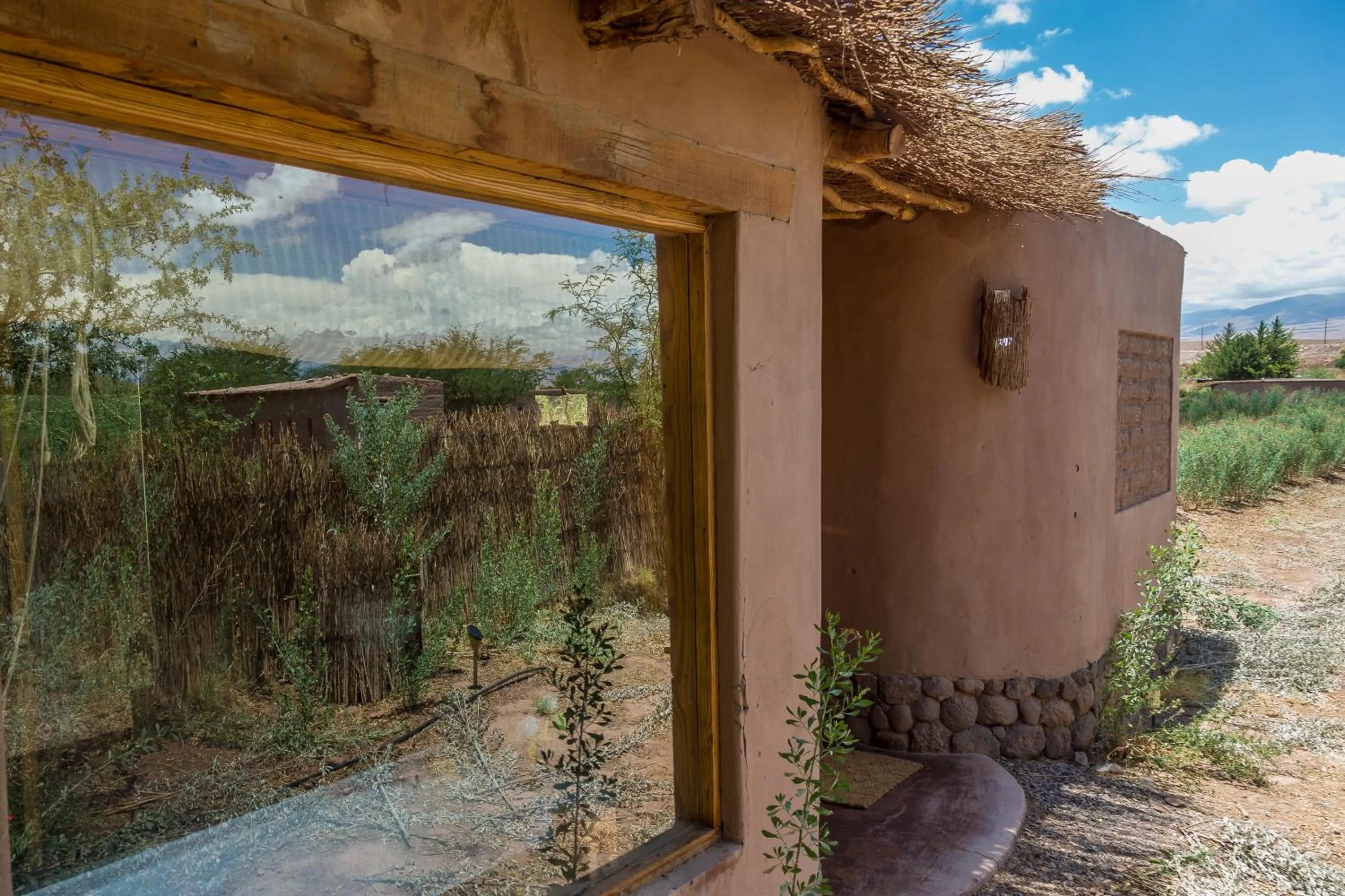 Garden in Eco-Lodge El Andinista