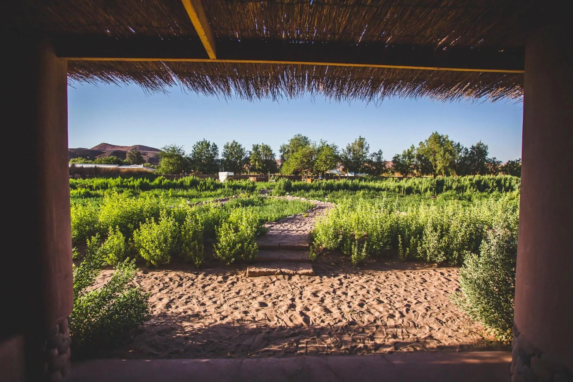 Eco-Lodge El Andinista