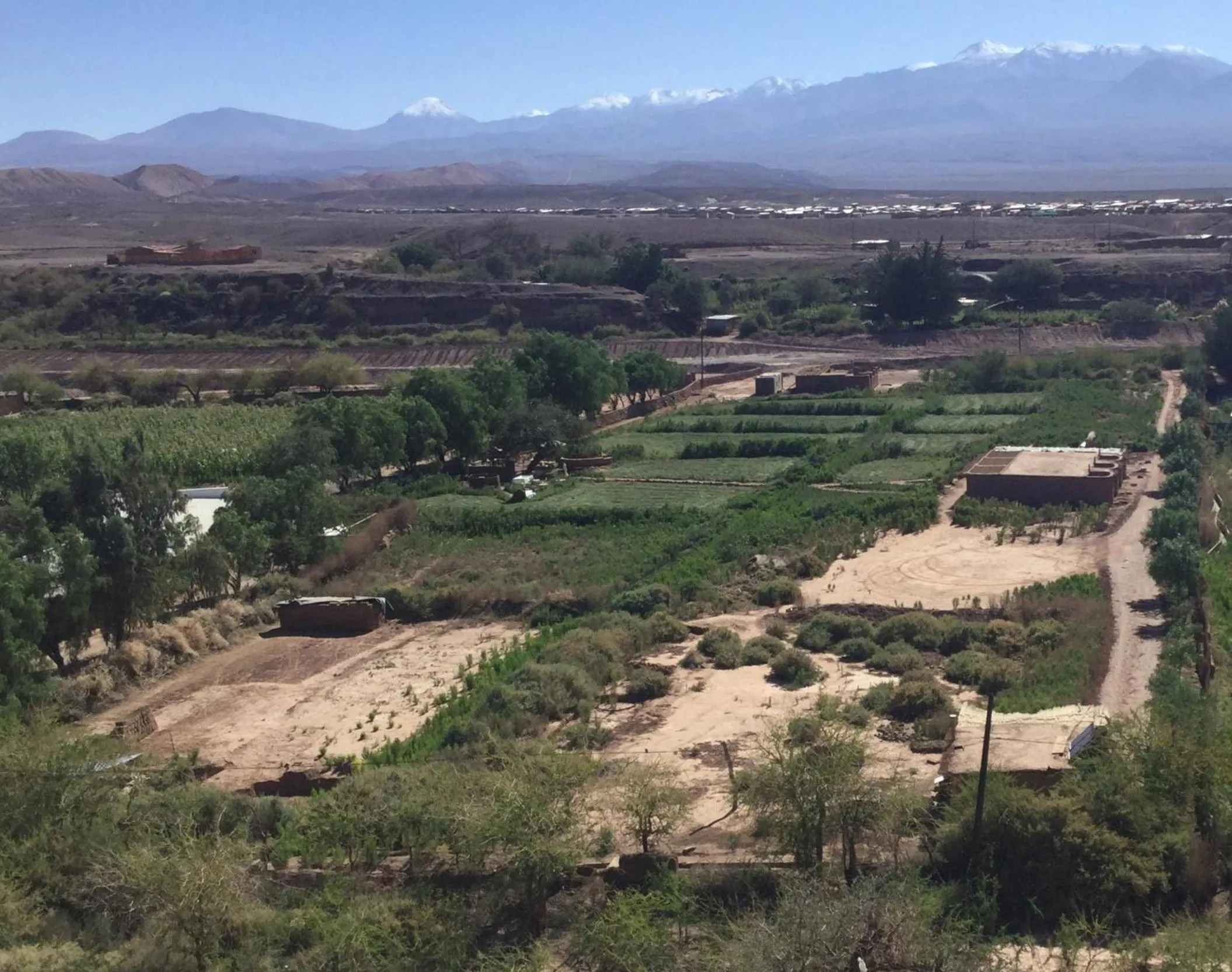 Eco-Lodge El Andinista
