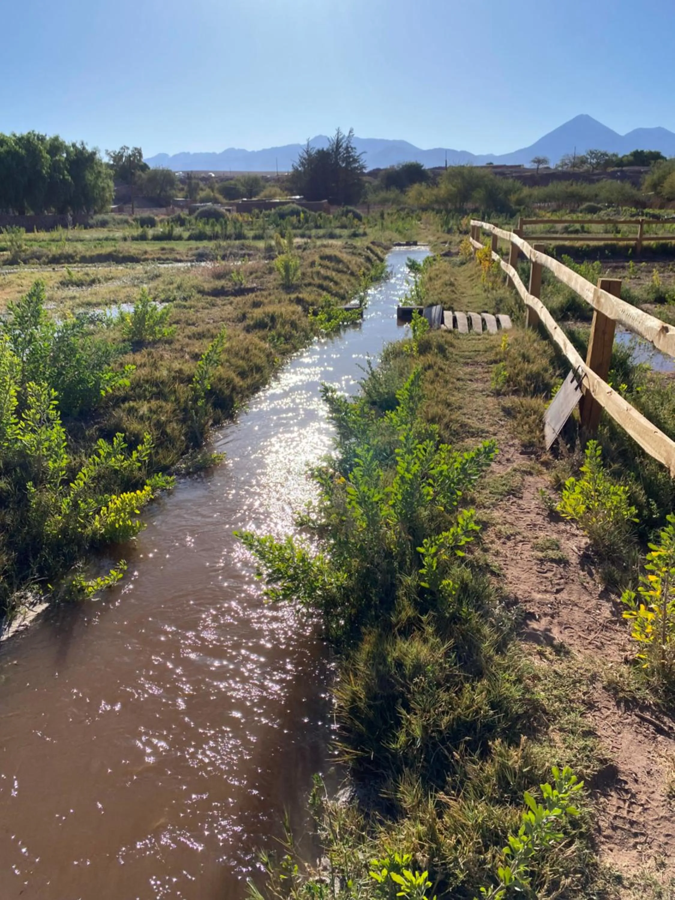 Eco-Lodge El Andinista
