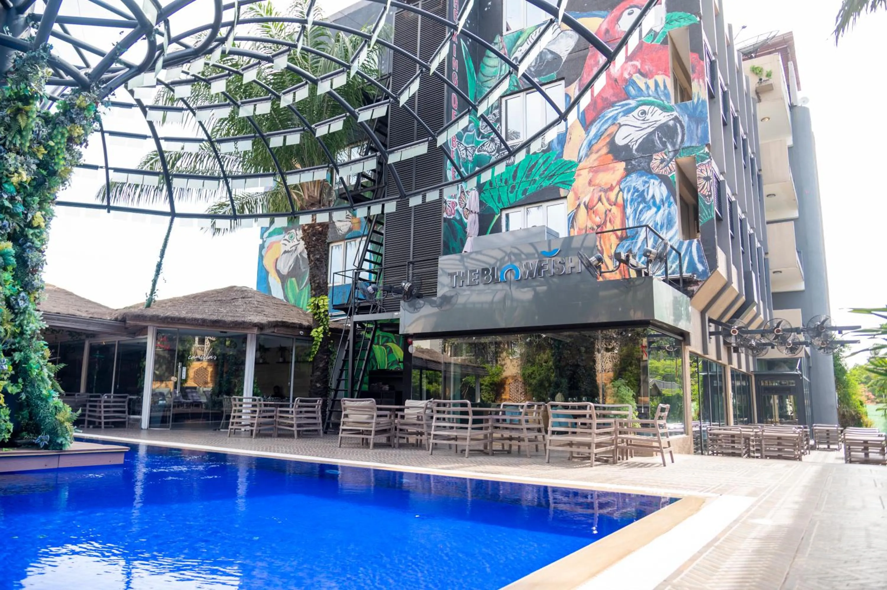 Property building in The Blowfish Hotel