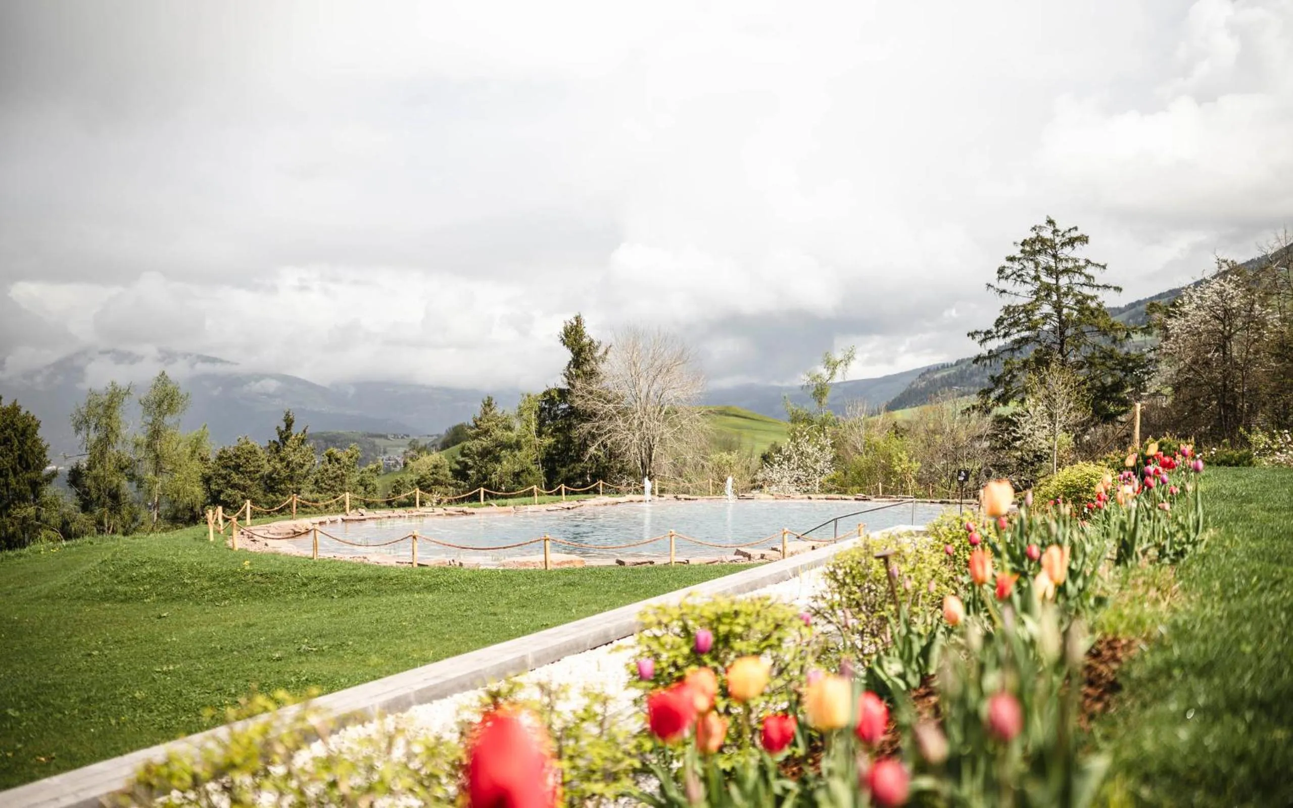 Swimming pool in Santre dolomythic home