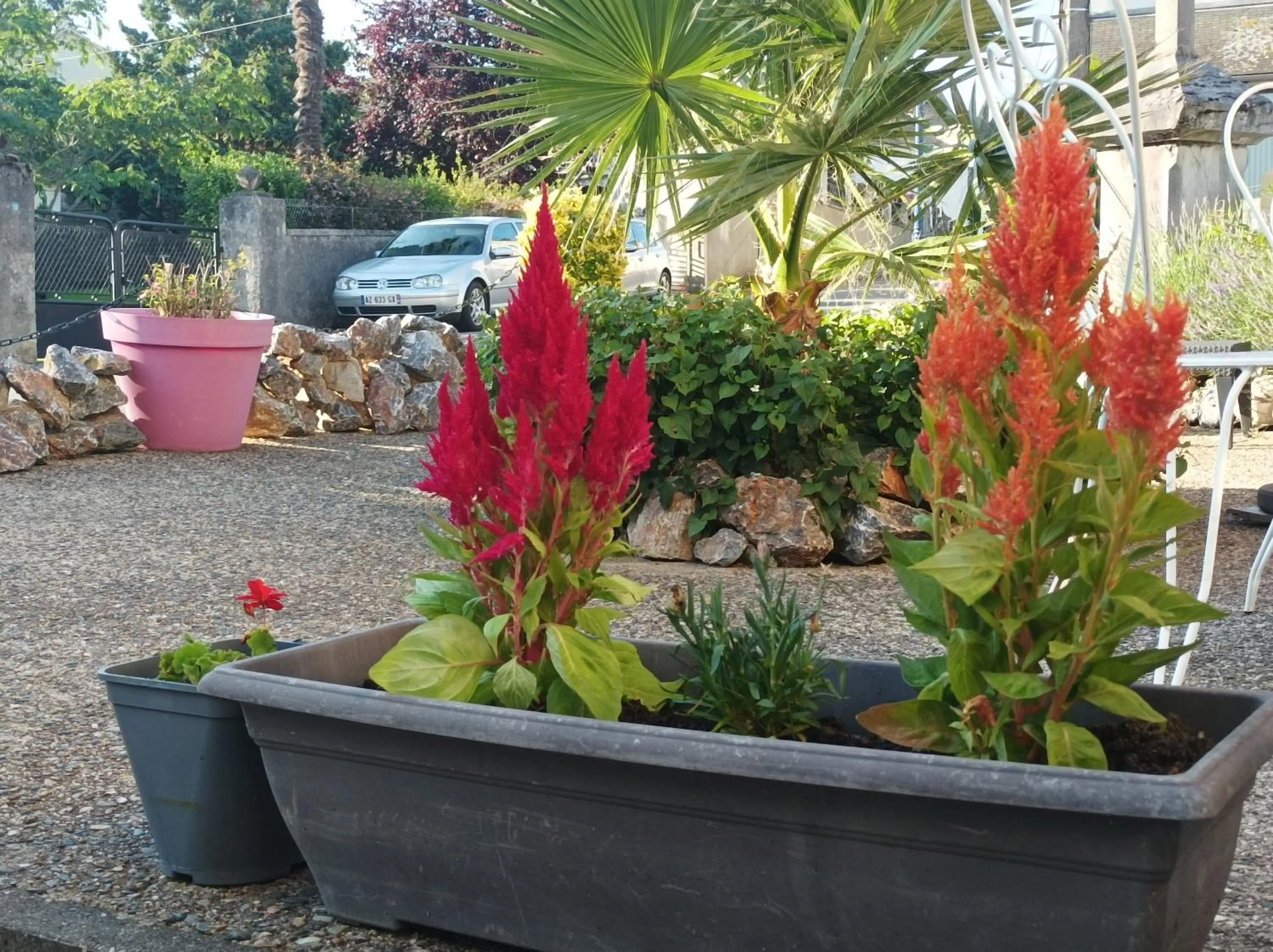 Day in L' Auberge Campagnarde, Lourdes