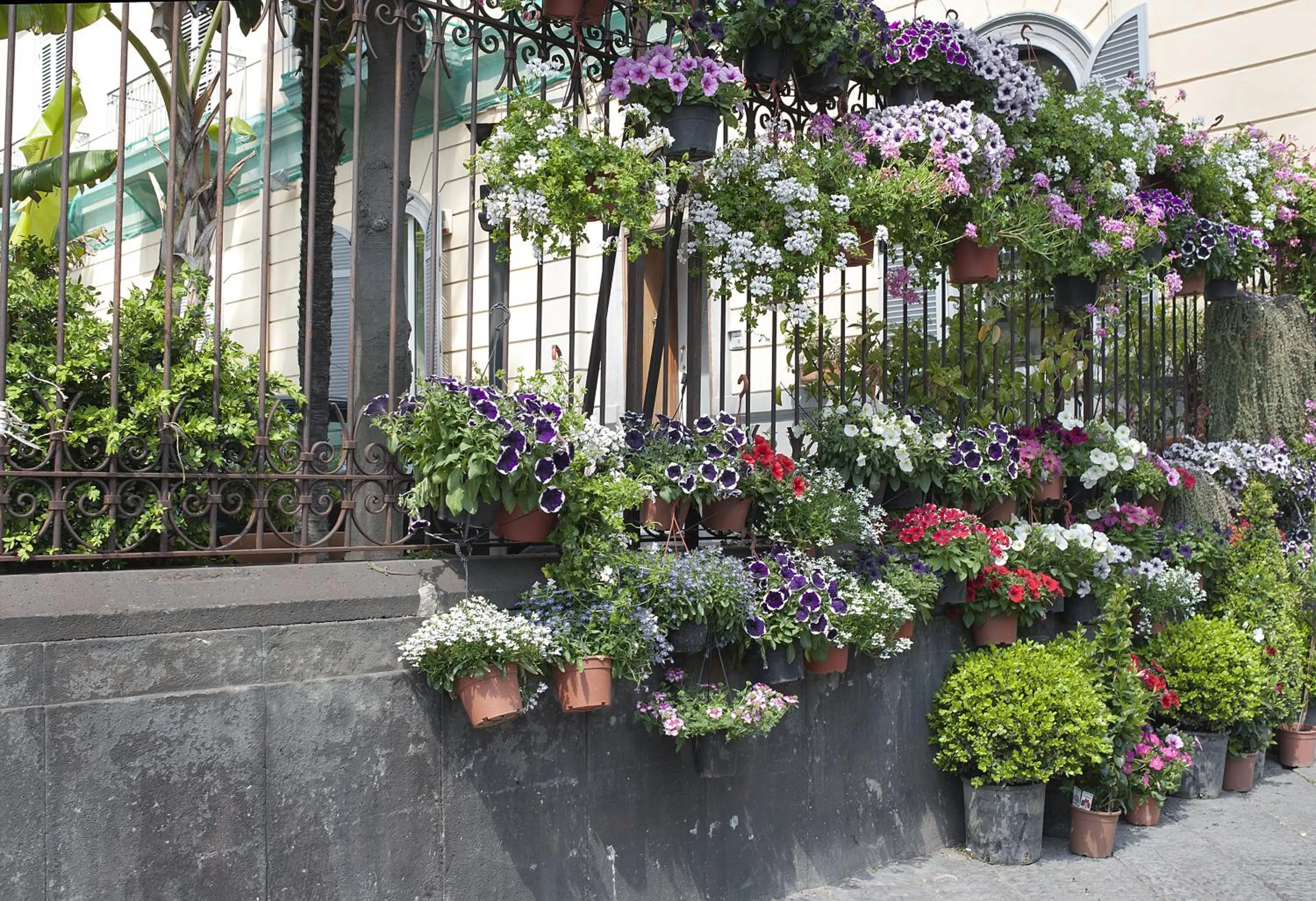 Facade/entrance in Areamare