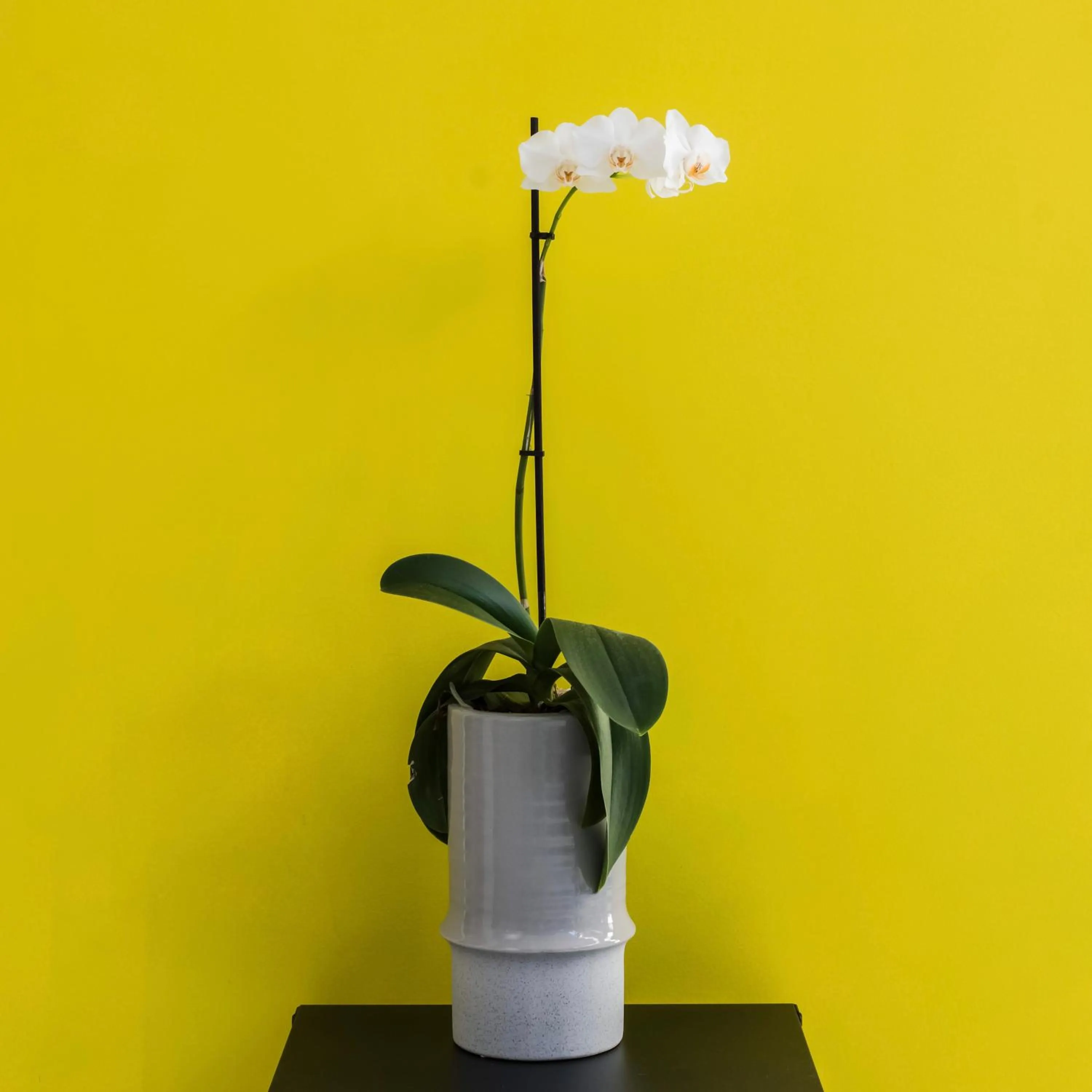 Lobby or reception in Iasonos Suites Athens