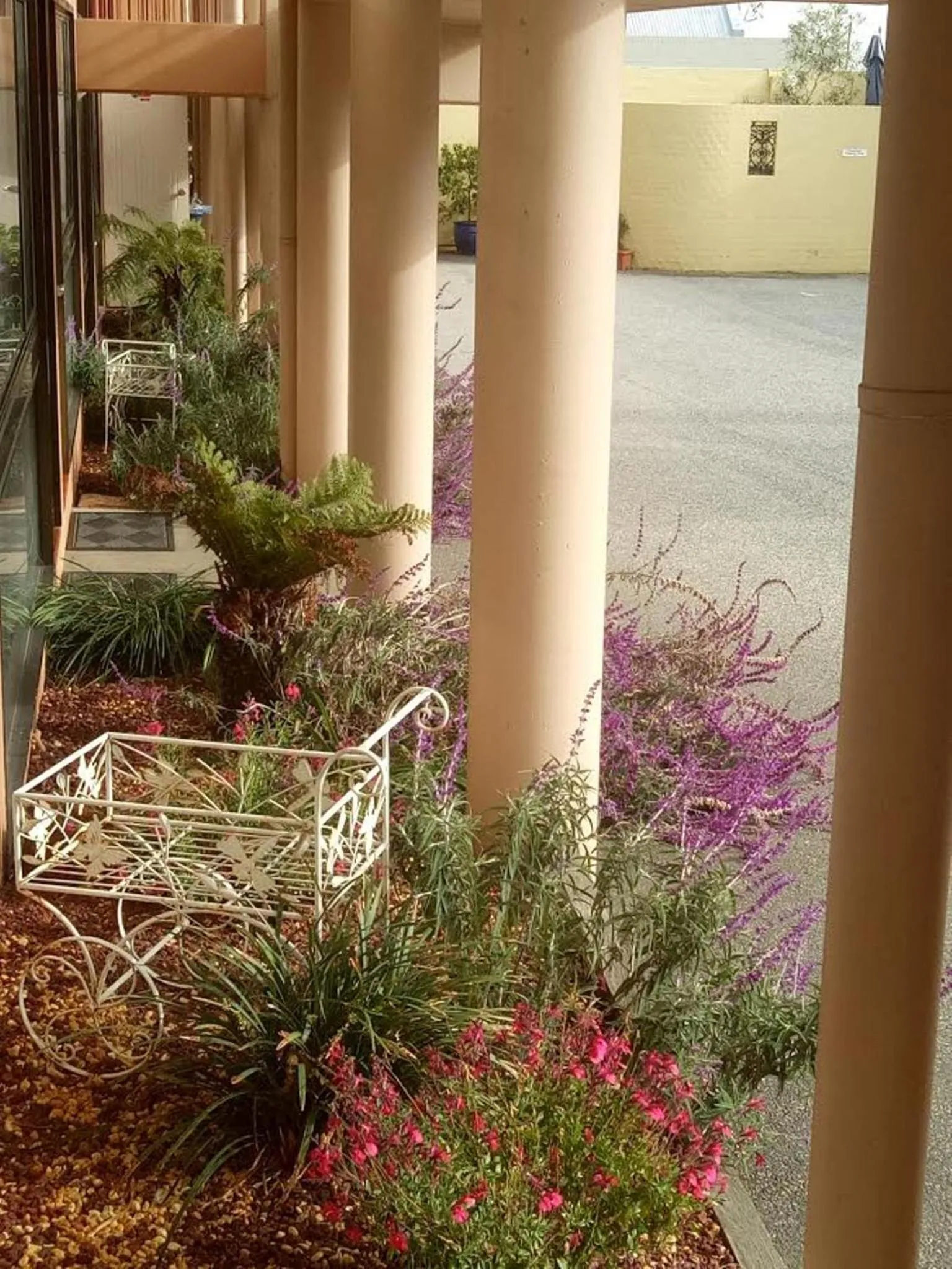 Balcony/Terrace in Winsor Park Motor Inn