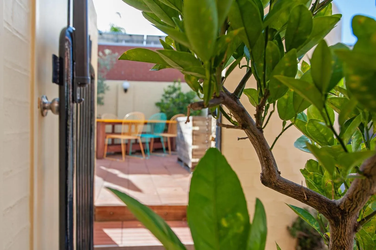 Garden in Winsor Park Motor Inn