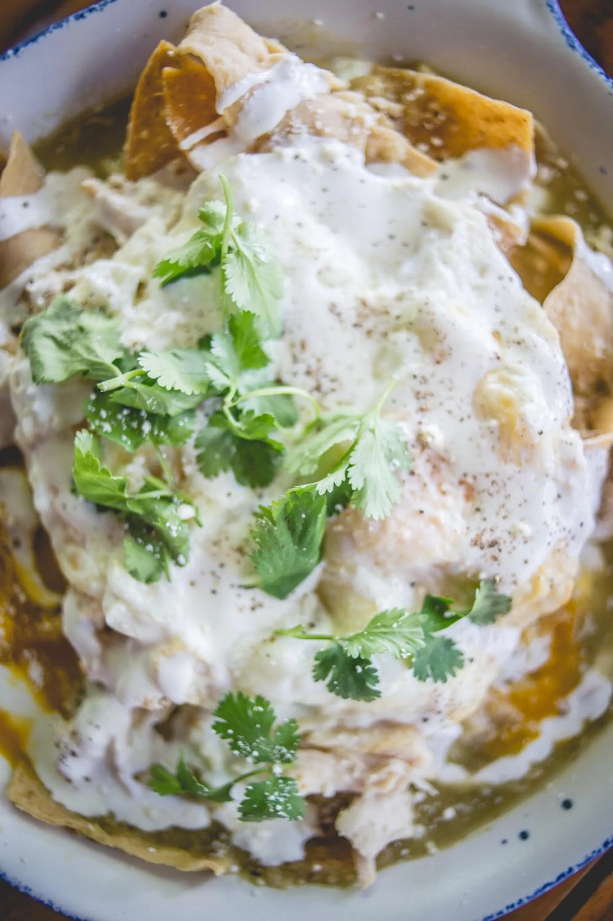 Restaurant/places to eat in Sotavento Hotel & Yacht Club