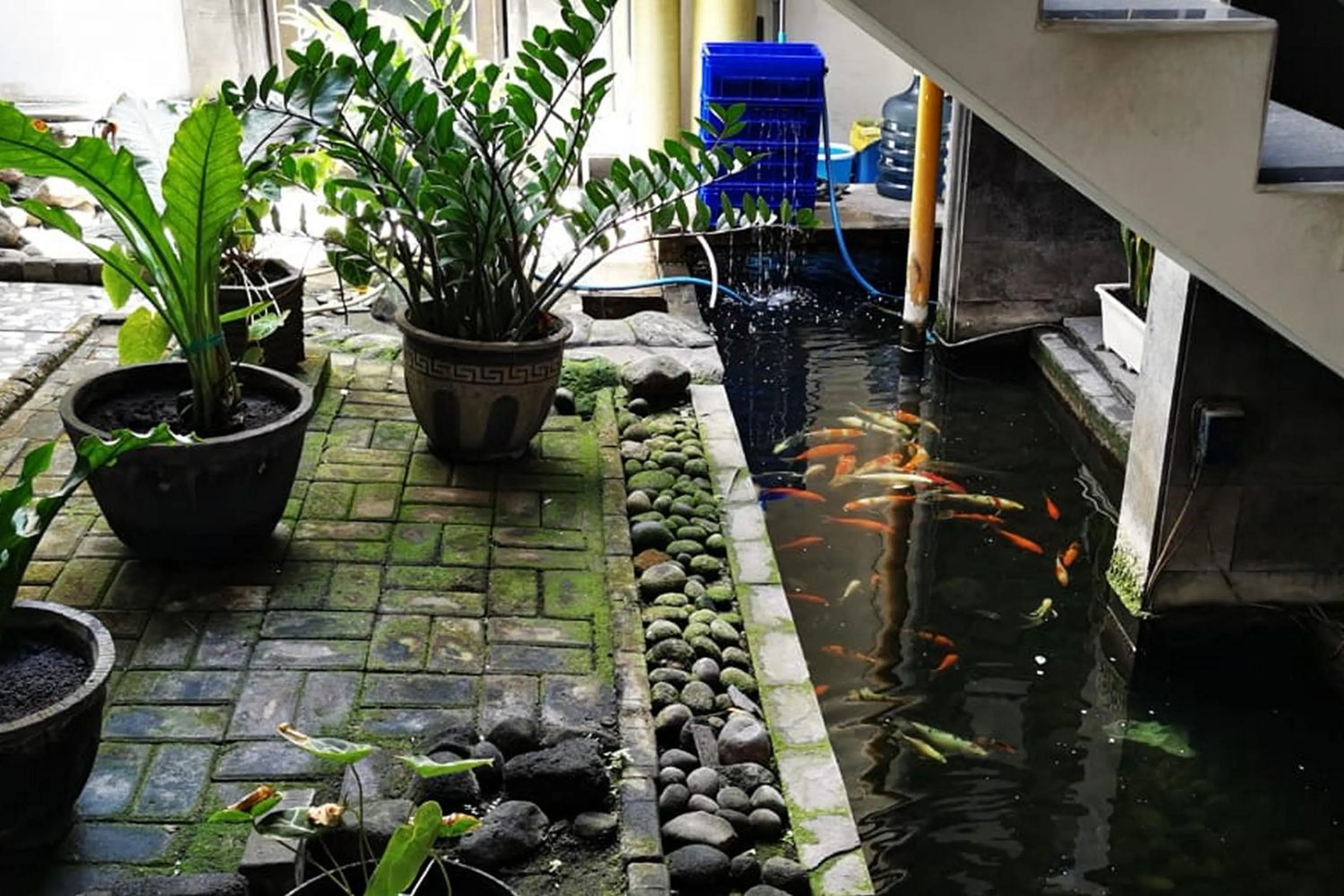 Property building in Dinnar Homestay Gayungan Syariah RedPartner