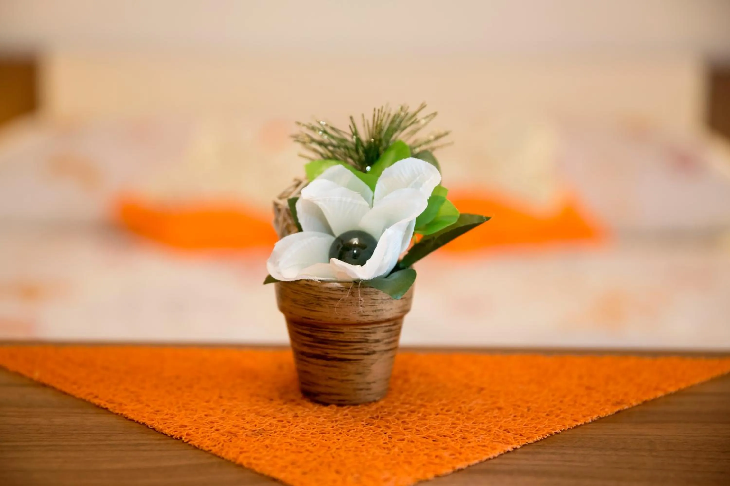 Decorative detail in Accommodation Resman