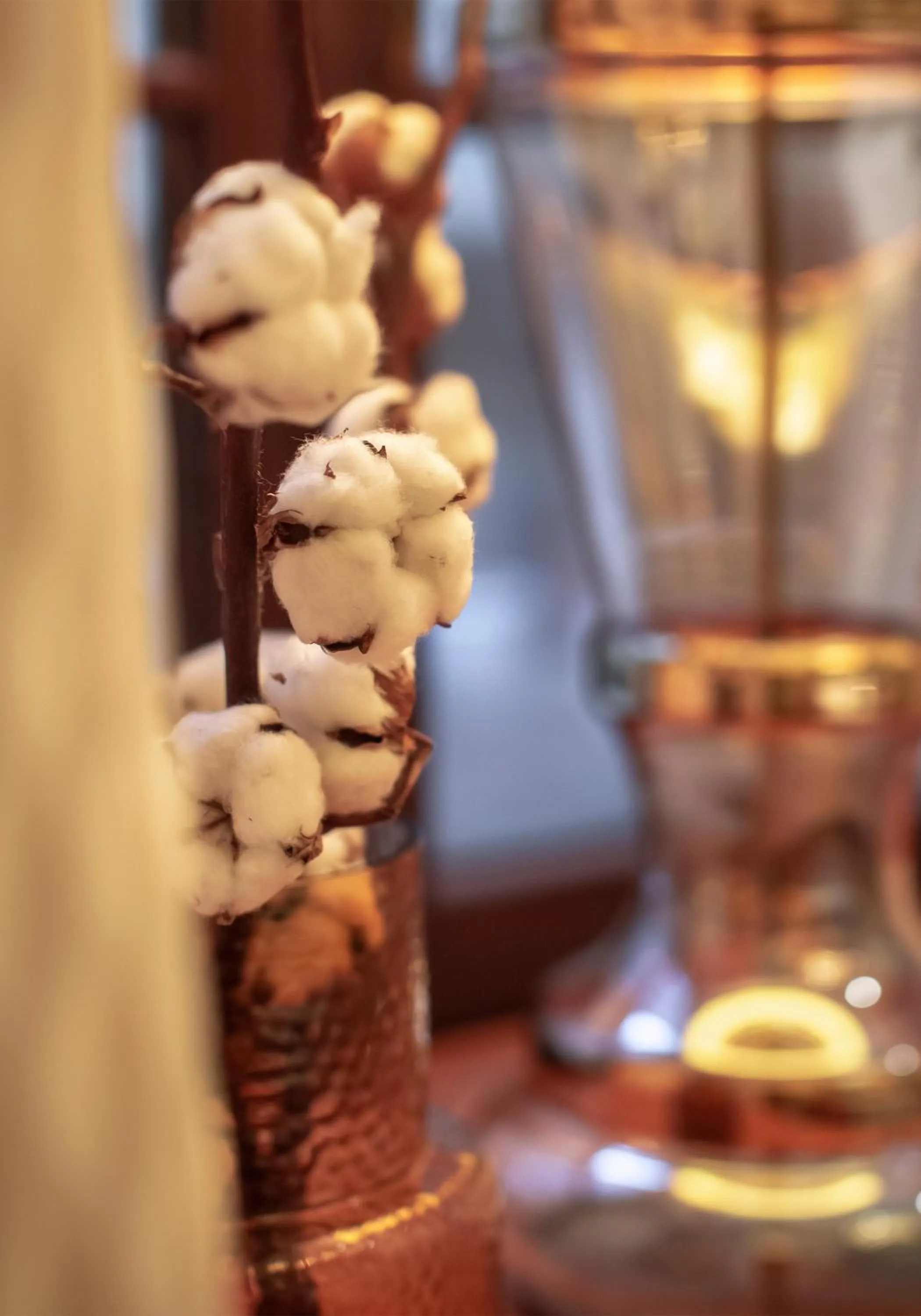 Decorative detail in Apartamenty Sowa Toruń