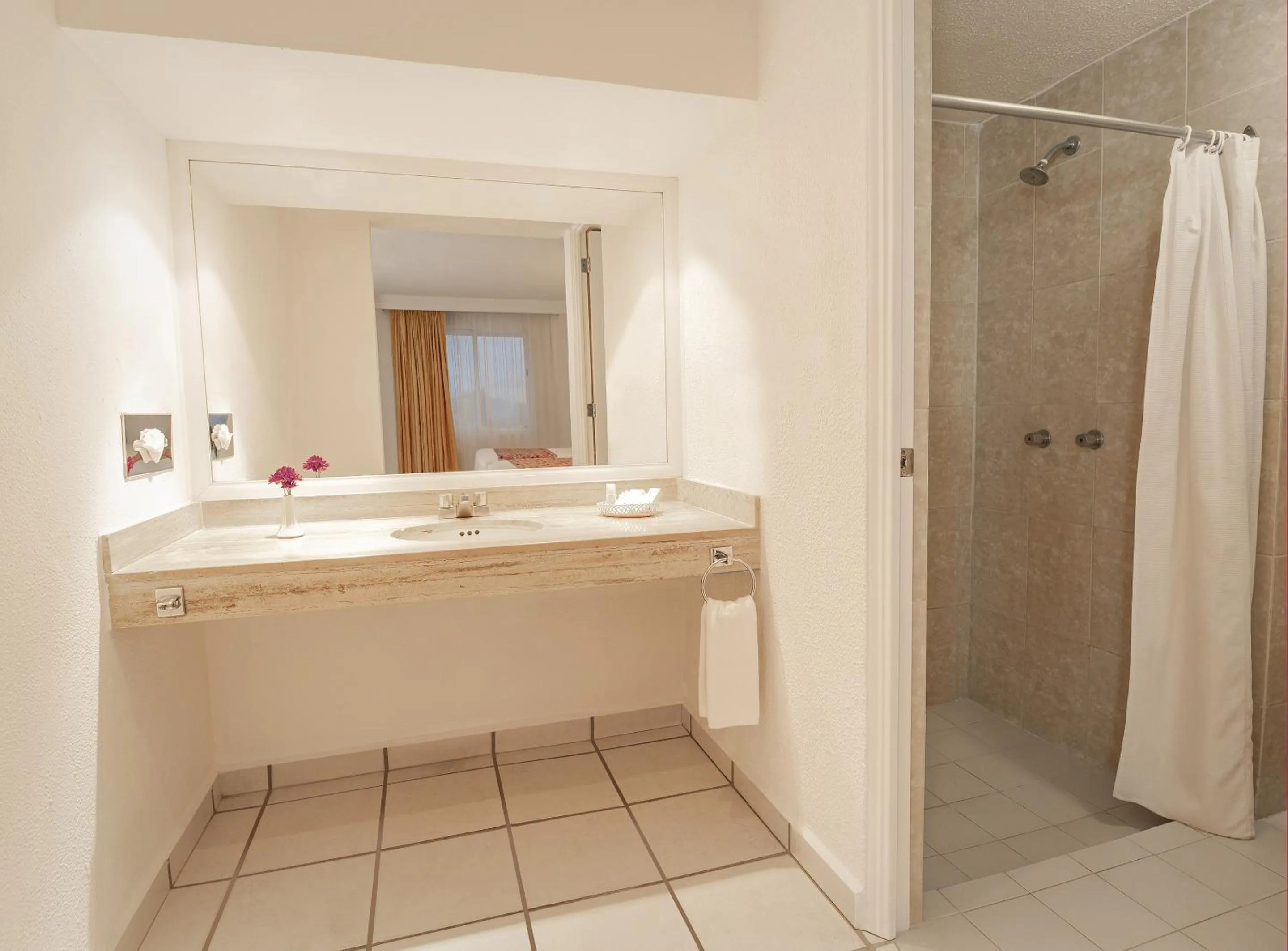 Toilet in Hotel Veracruz Centro Histórico