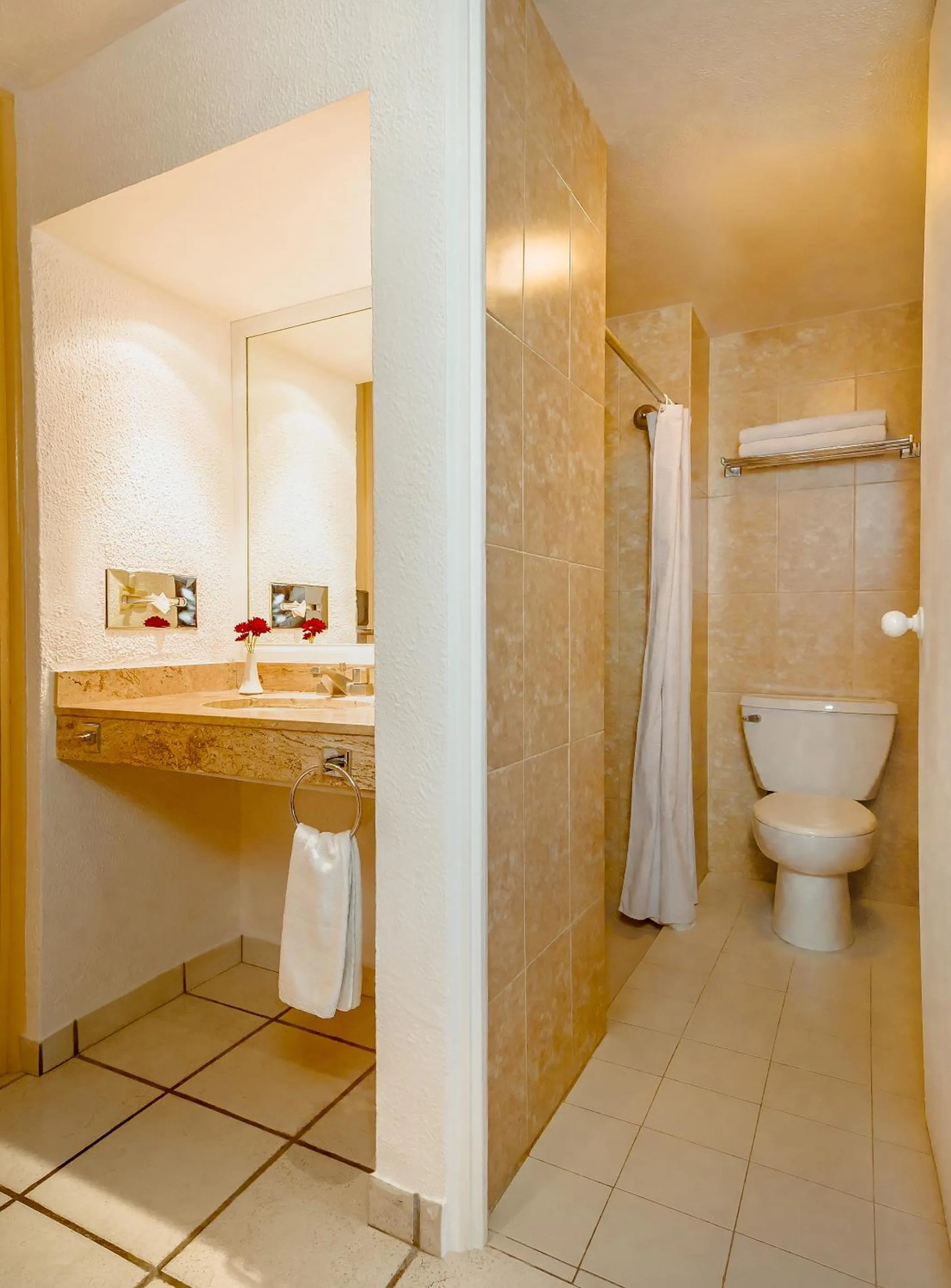 Toilet in Hotel Veracruz Centro Histórico