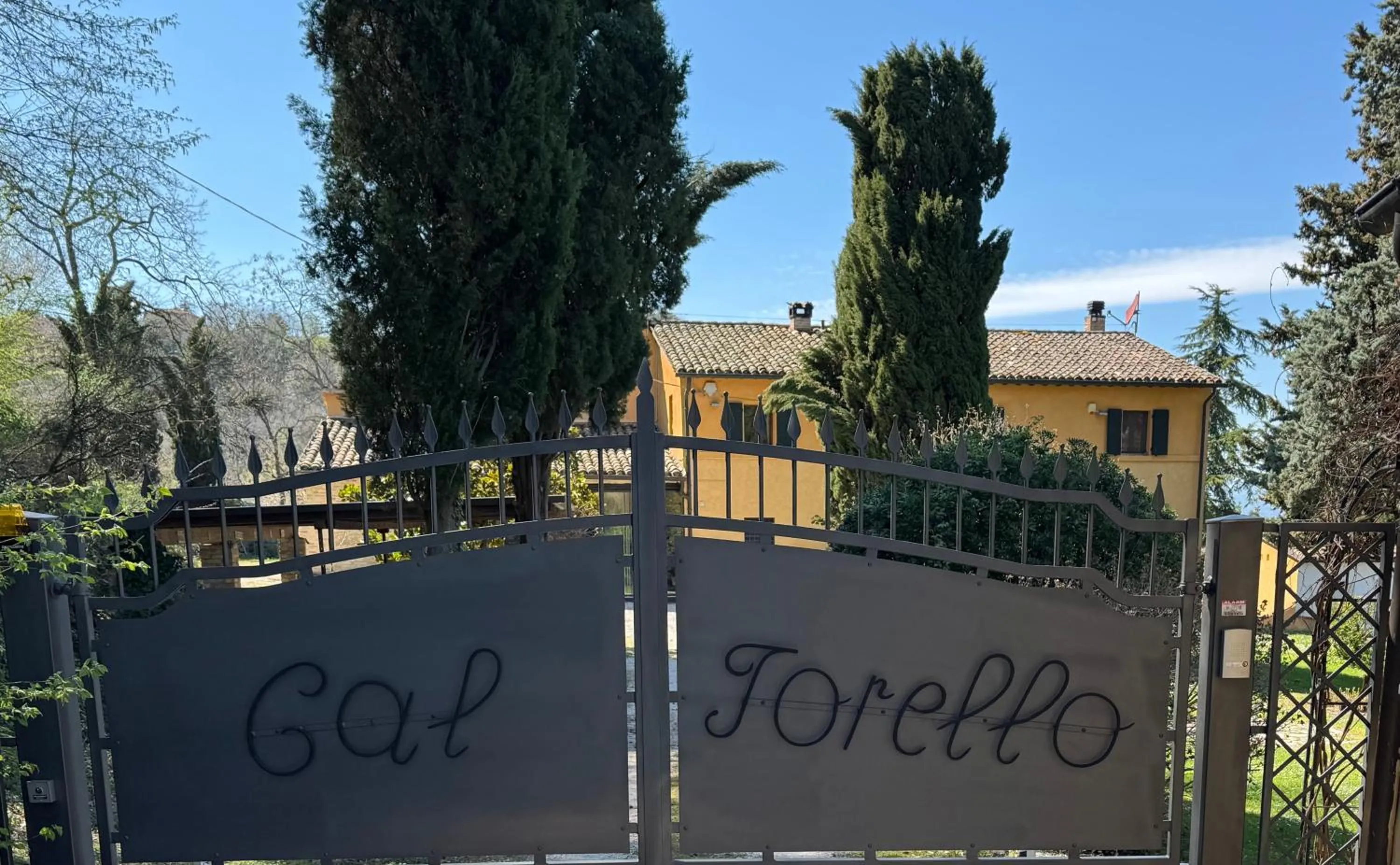 B&B Cal Torello