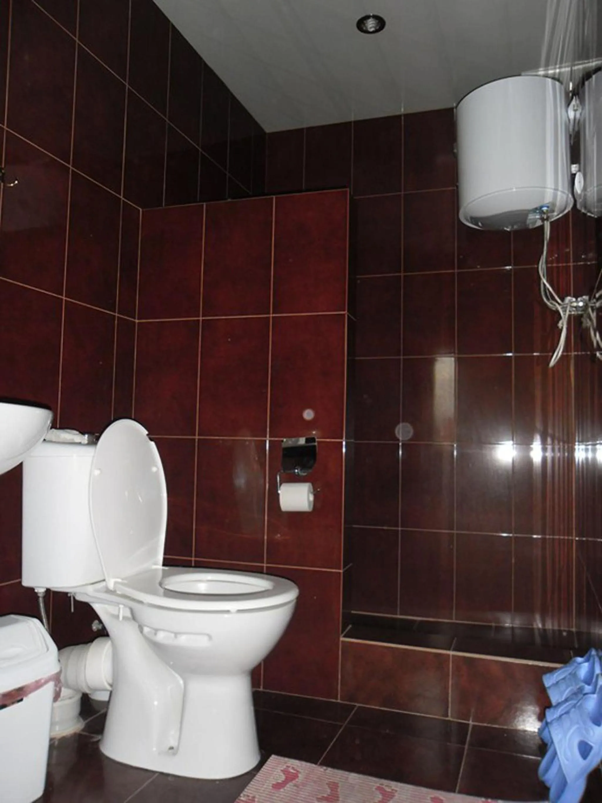 Bathroom in hotel Pharnavaz