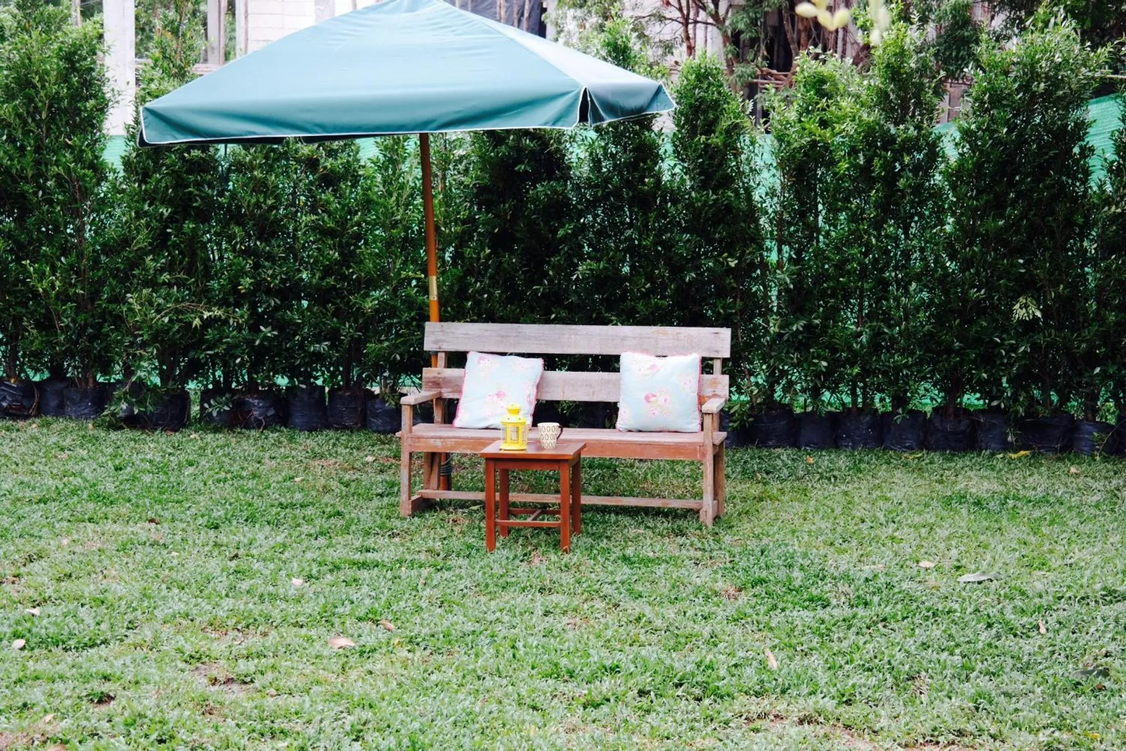 Jardin De Mangue Pakchong