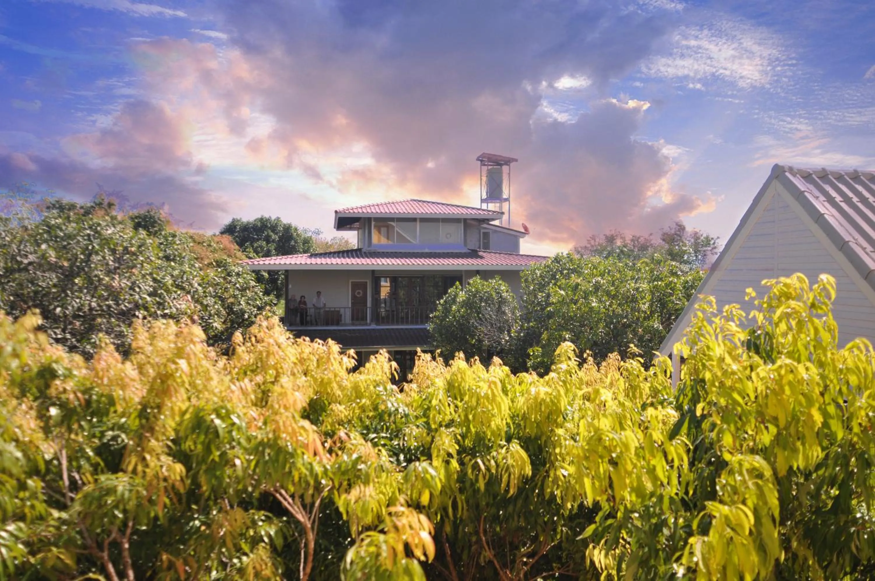 Jardin De Mangue Pakchong