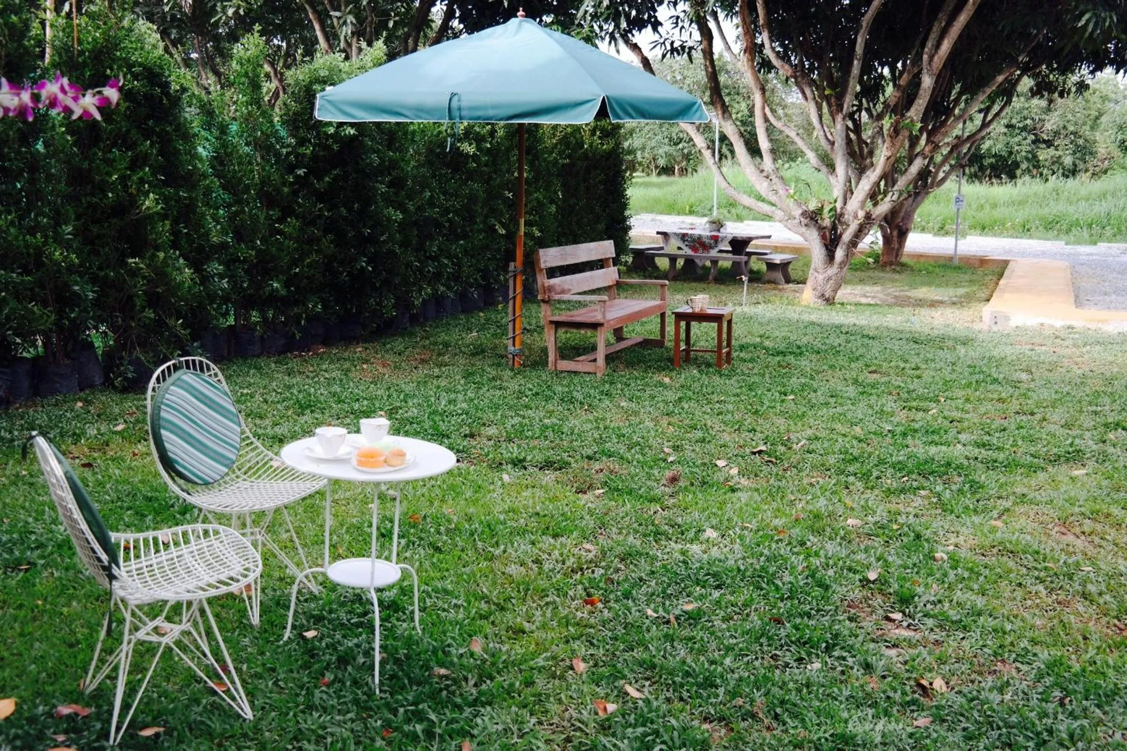 Jardin De Mangue Pakchong