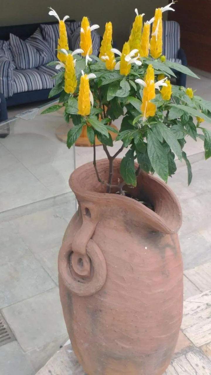 POUSADA CASA DIAMANTe