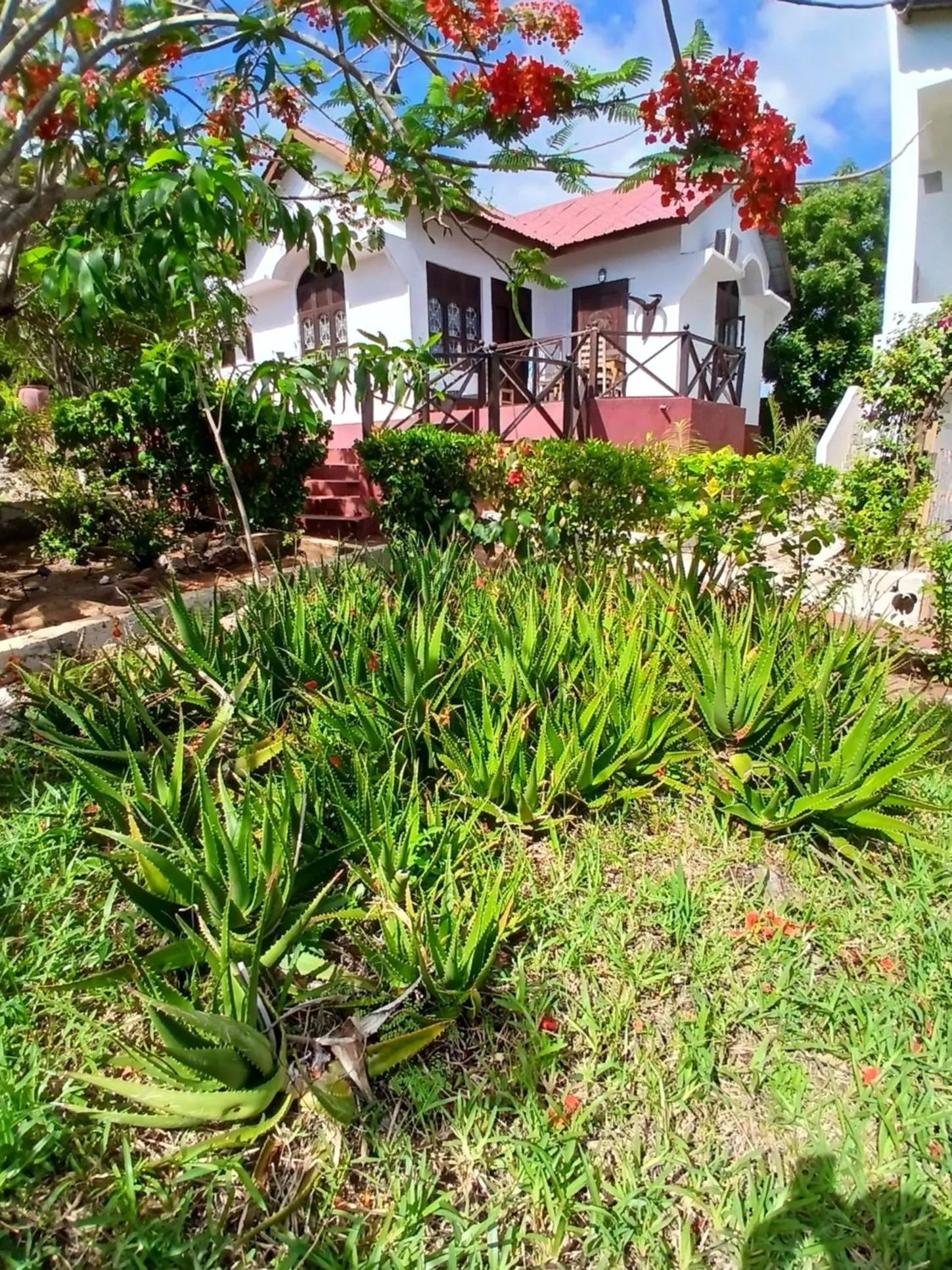 Property building in Majani Breeze