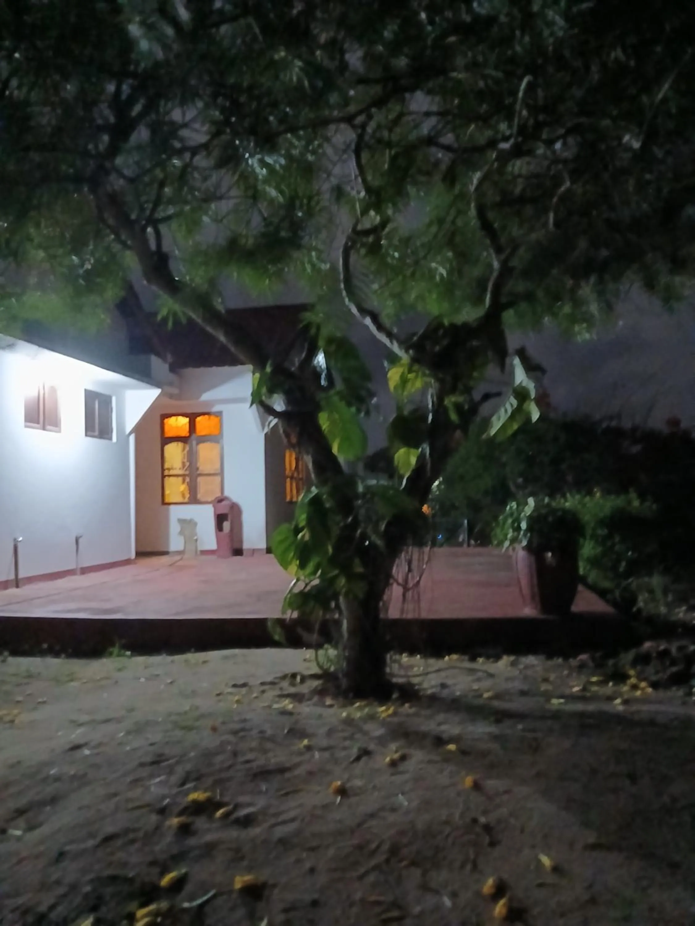 Property building in Majani Breeze