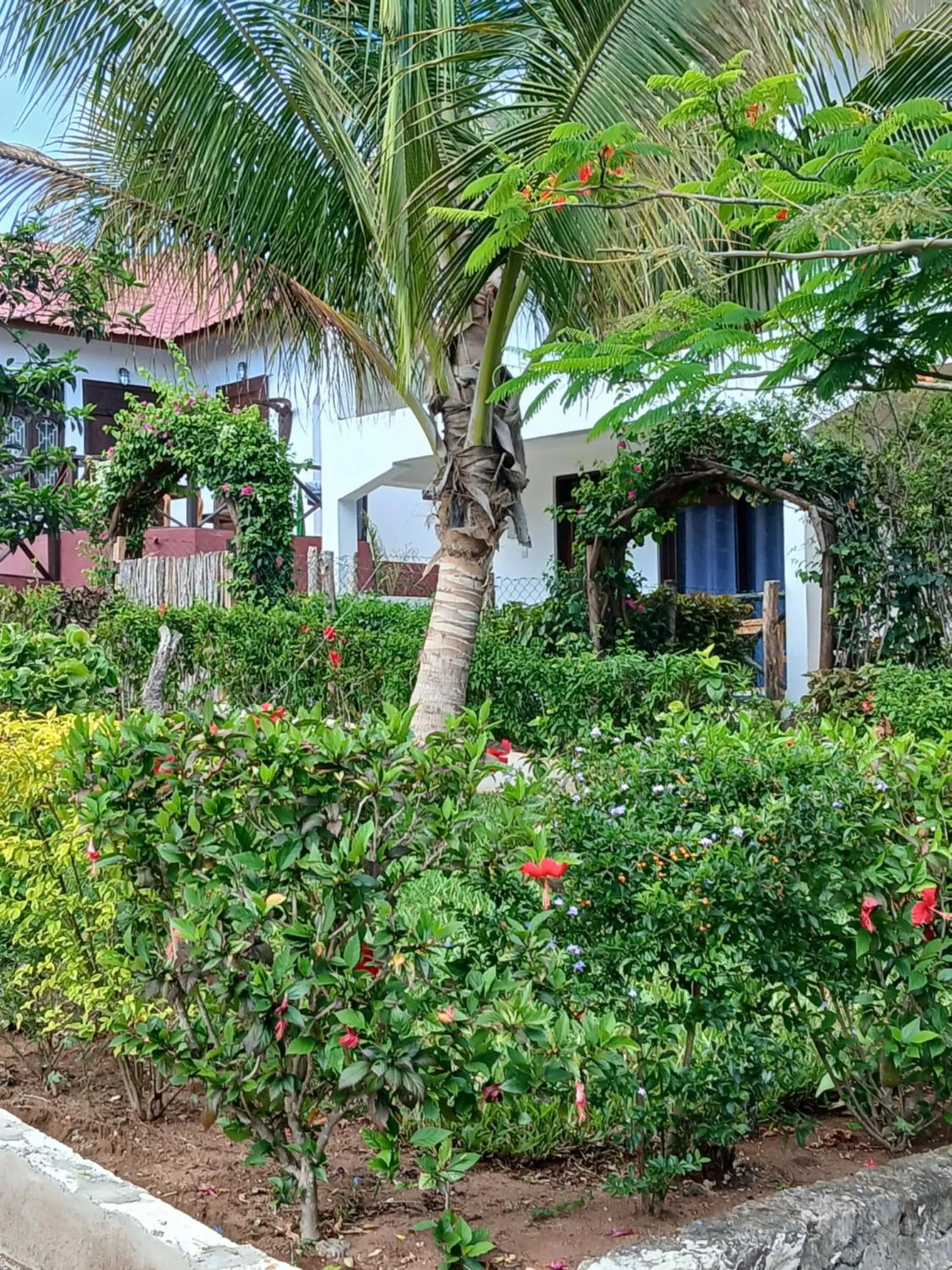 Property building in Majani Breeze