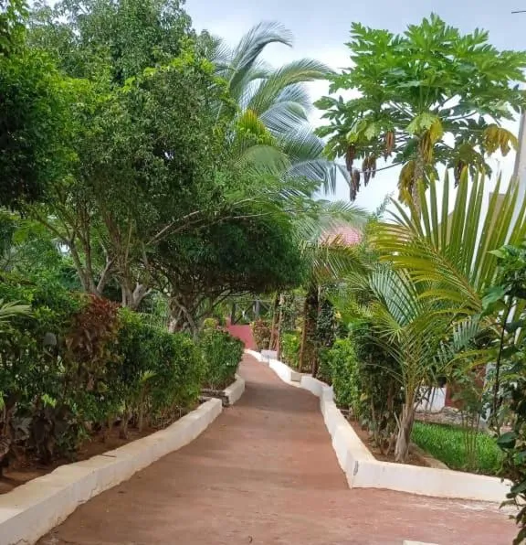 Garden in Majani Breeze
