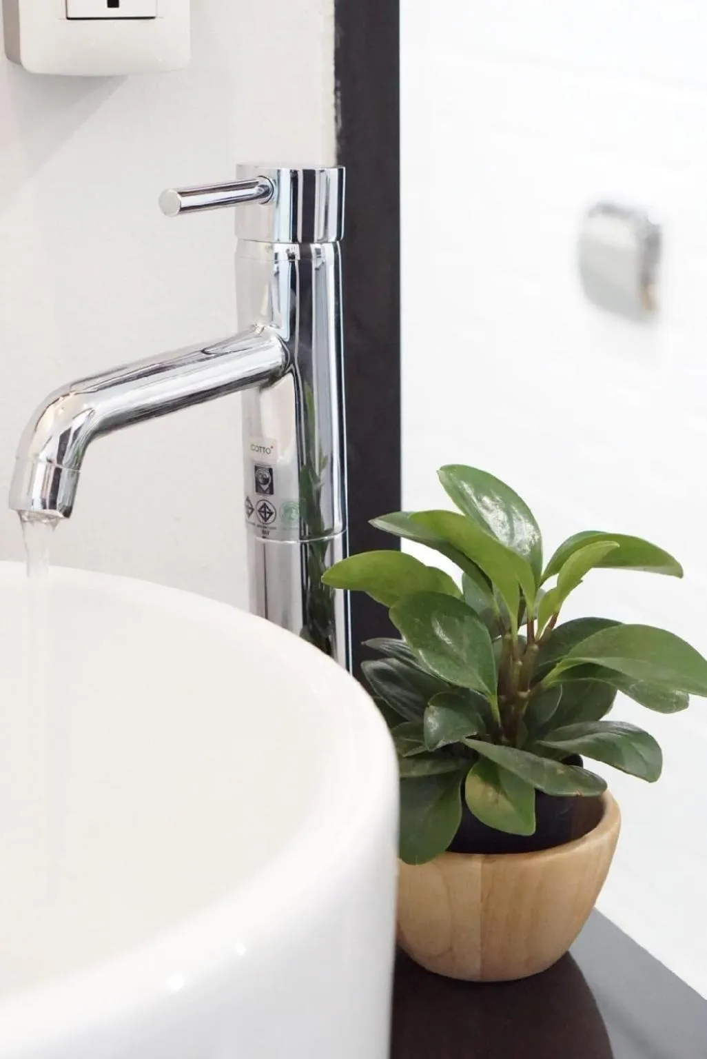 Area and facilities in Tim Mansion