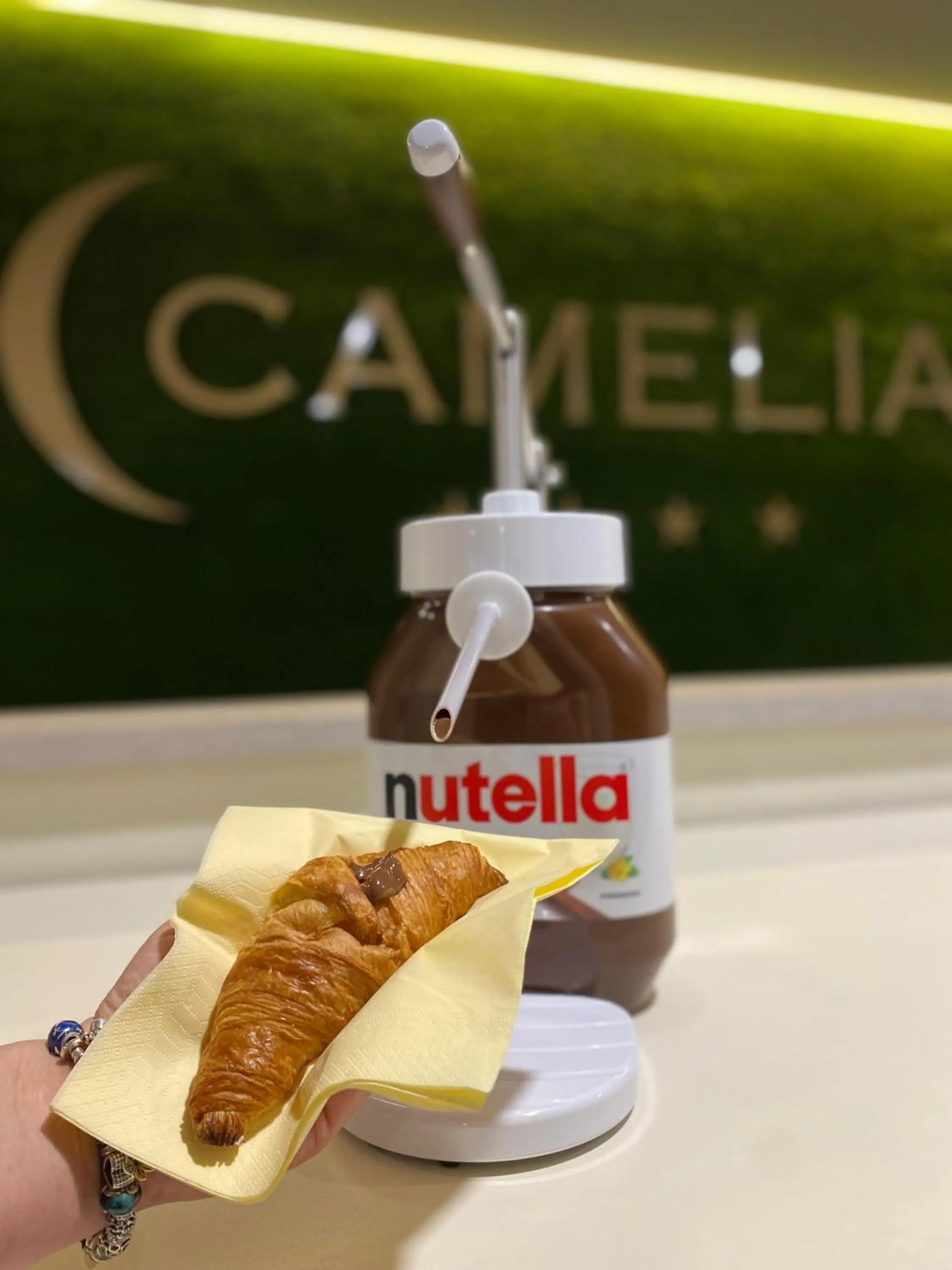 Food in Hotel Camelia