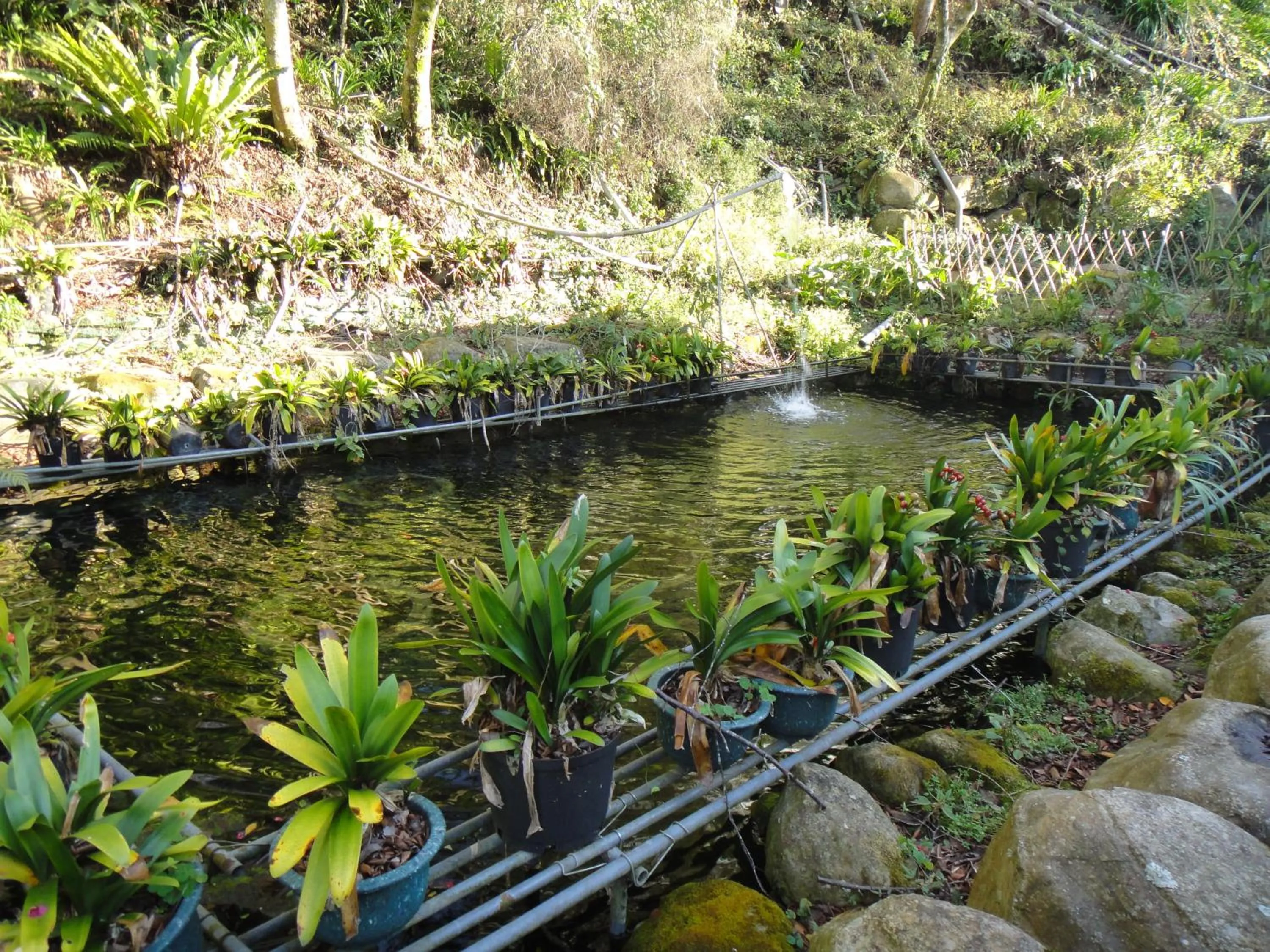 Garden in Bunbury Fruit Ranch B&B