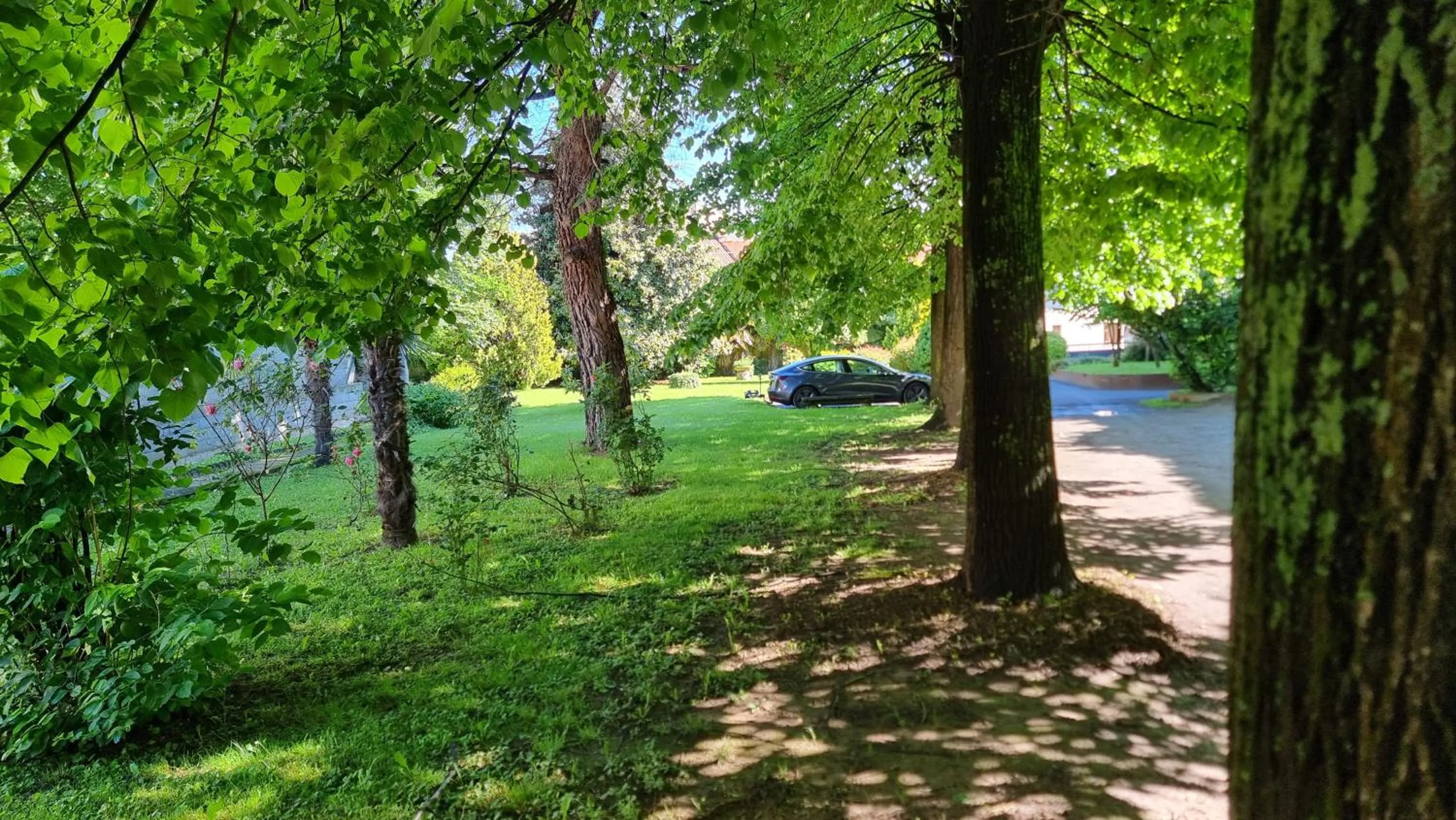 Albergo Ristorante Trieste Boves