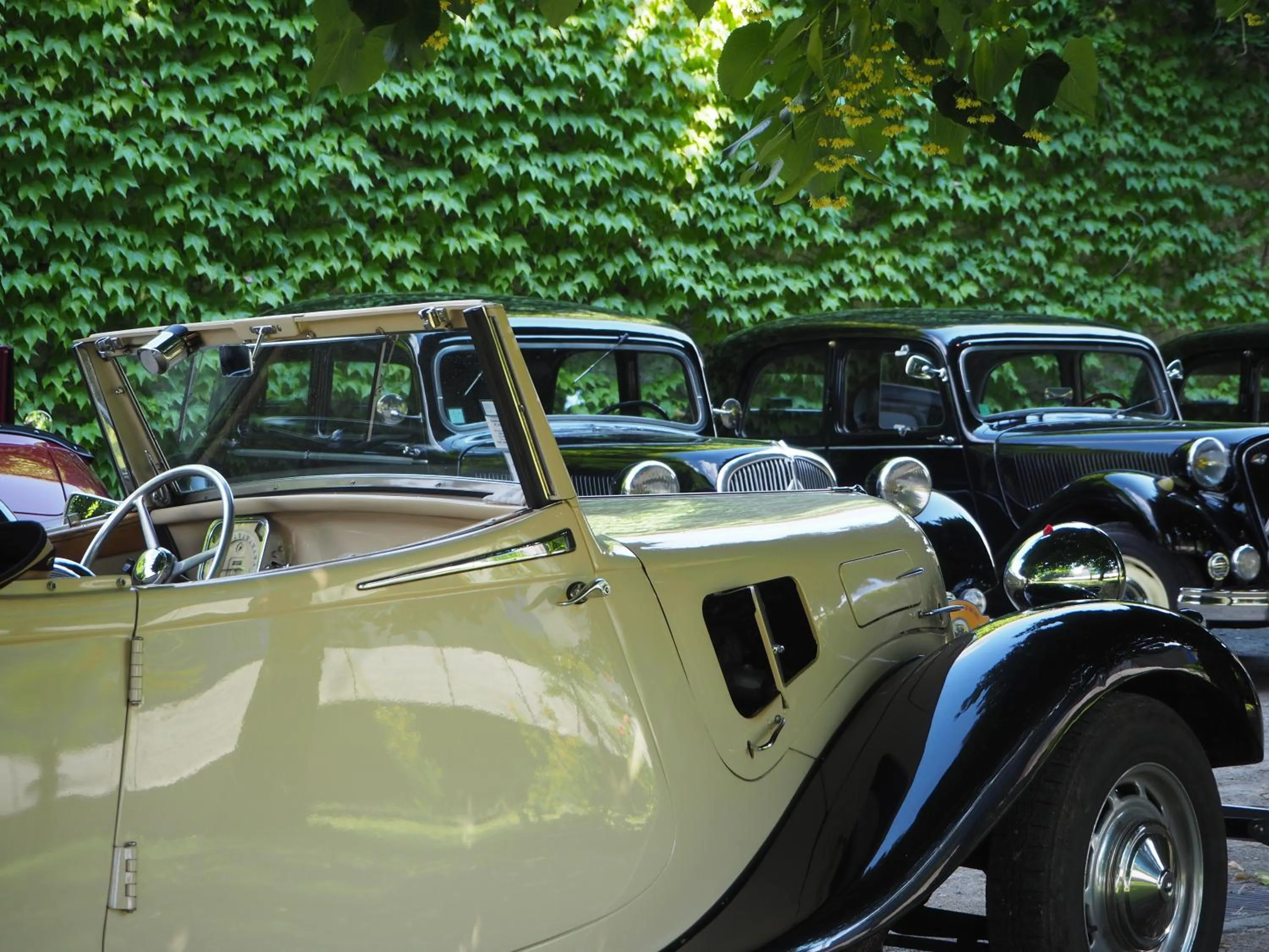 Property building in Albergo Ristorante Trieste Boves